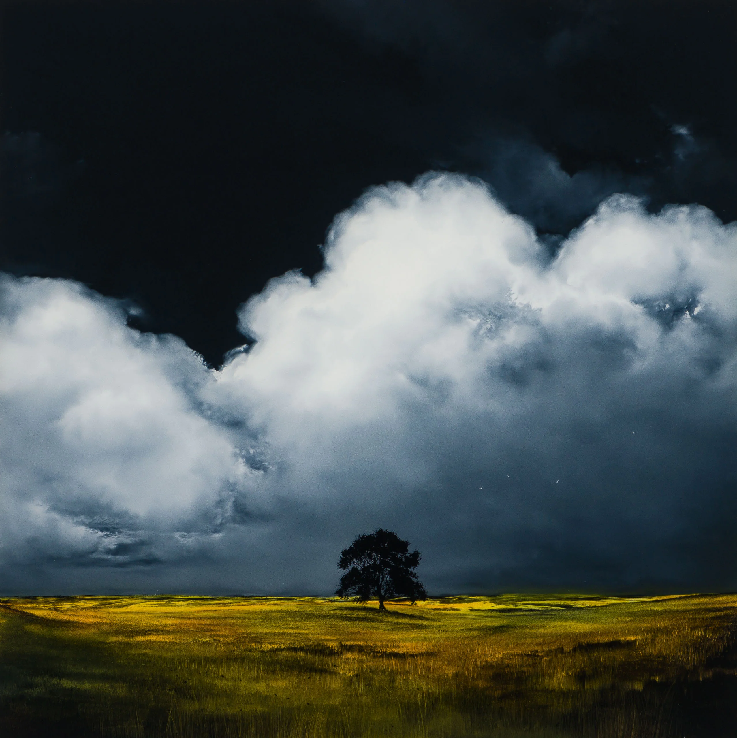 Finding Home - Image 8