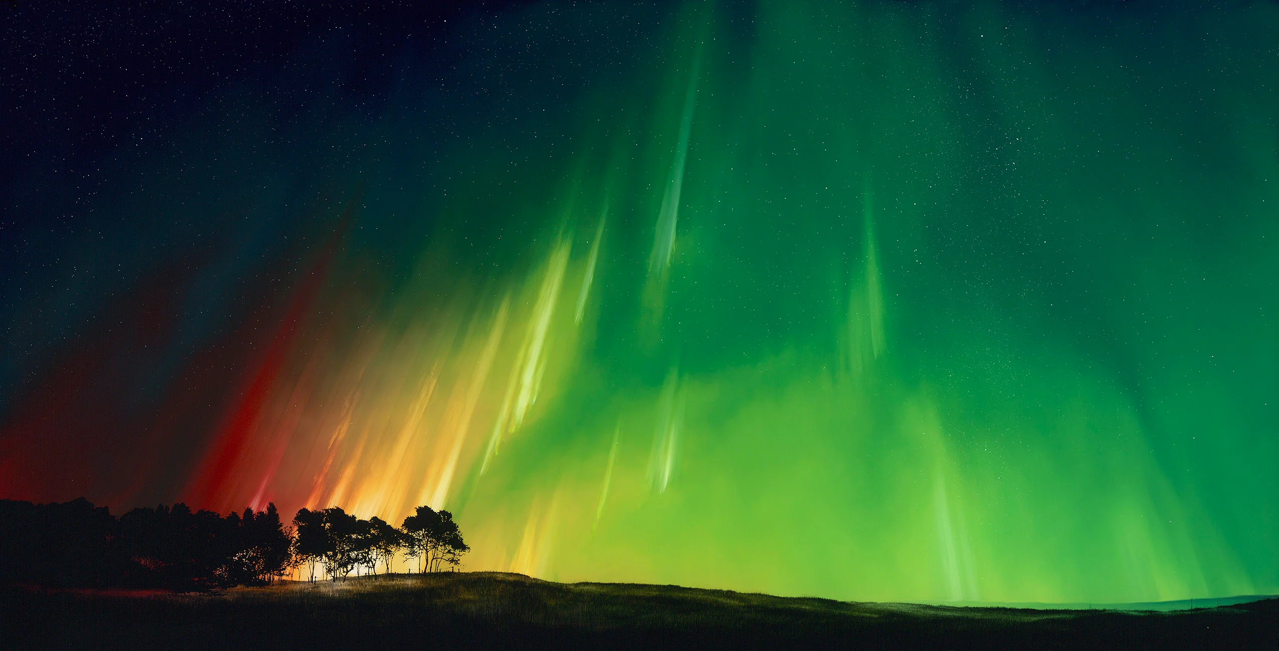 Magic at Midnight - Image 2