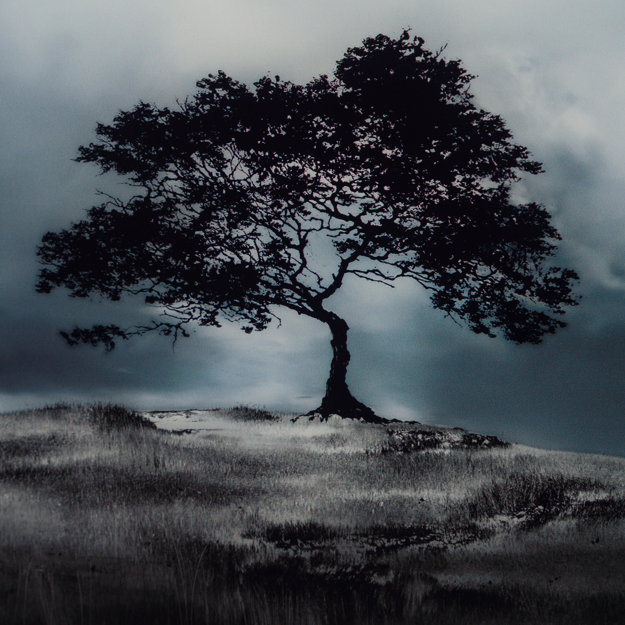 Once Upon A Time In... - Image 4