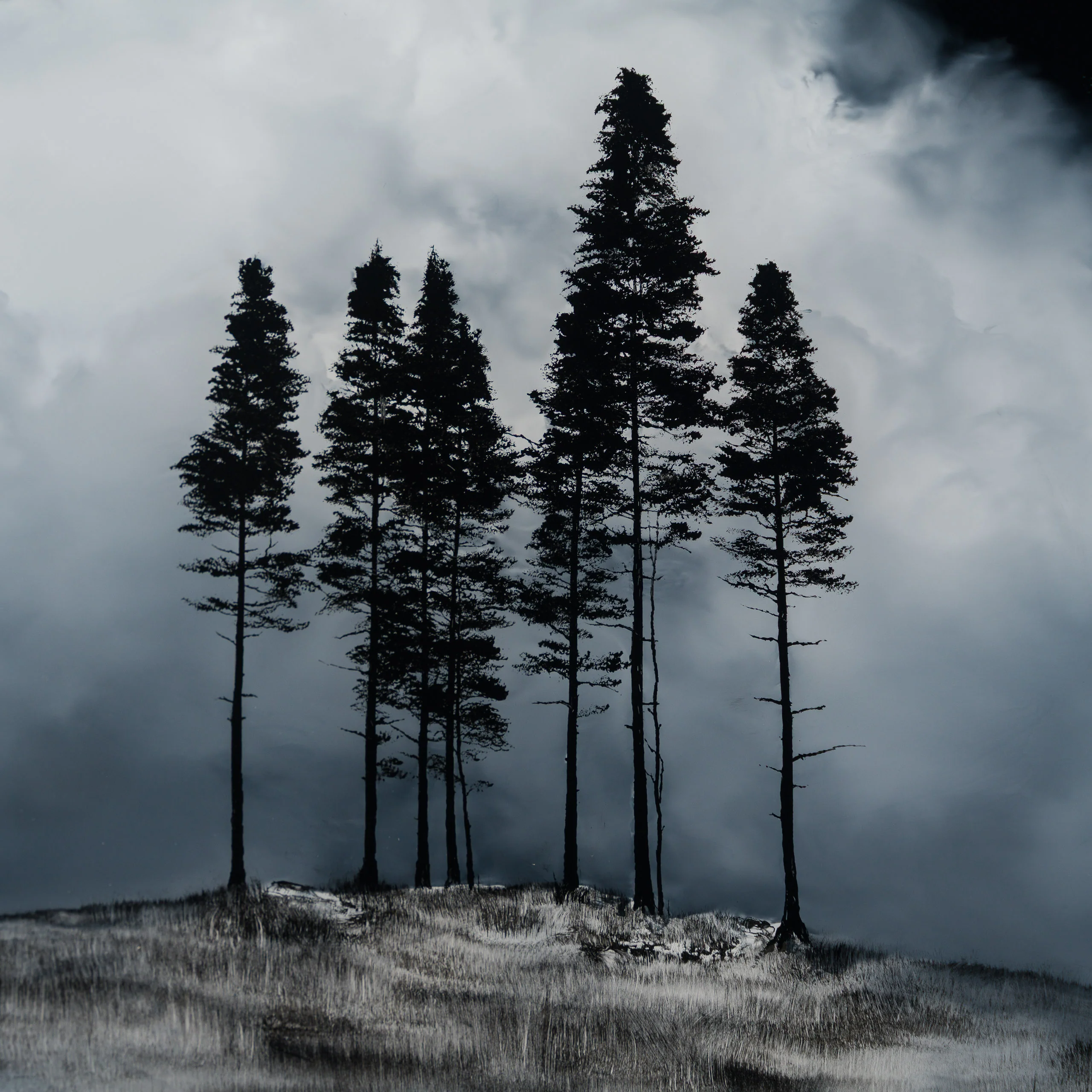 Shades In Silence - Image 2