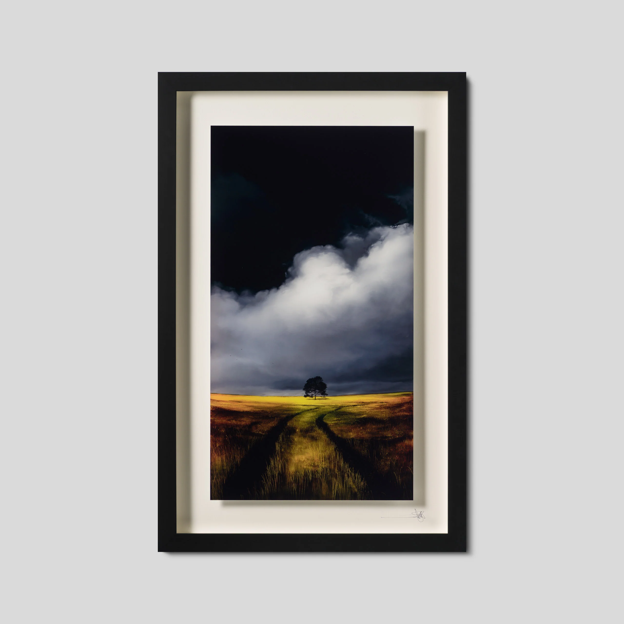 Spring 2025 | Framed Set of Three - Image 5