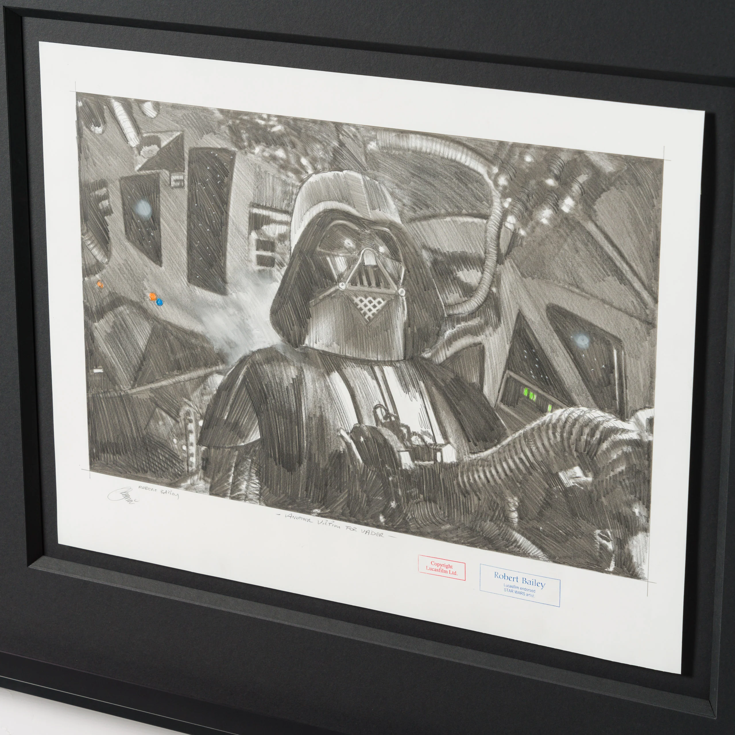 Another Victim For Vader - Image 6
