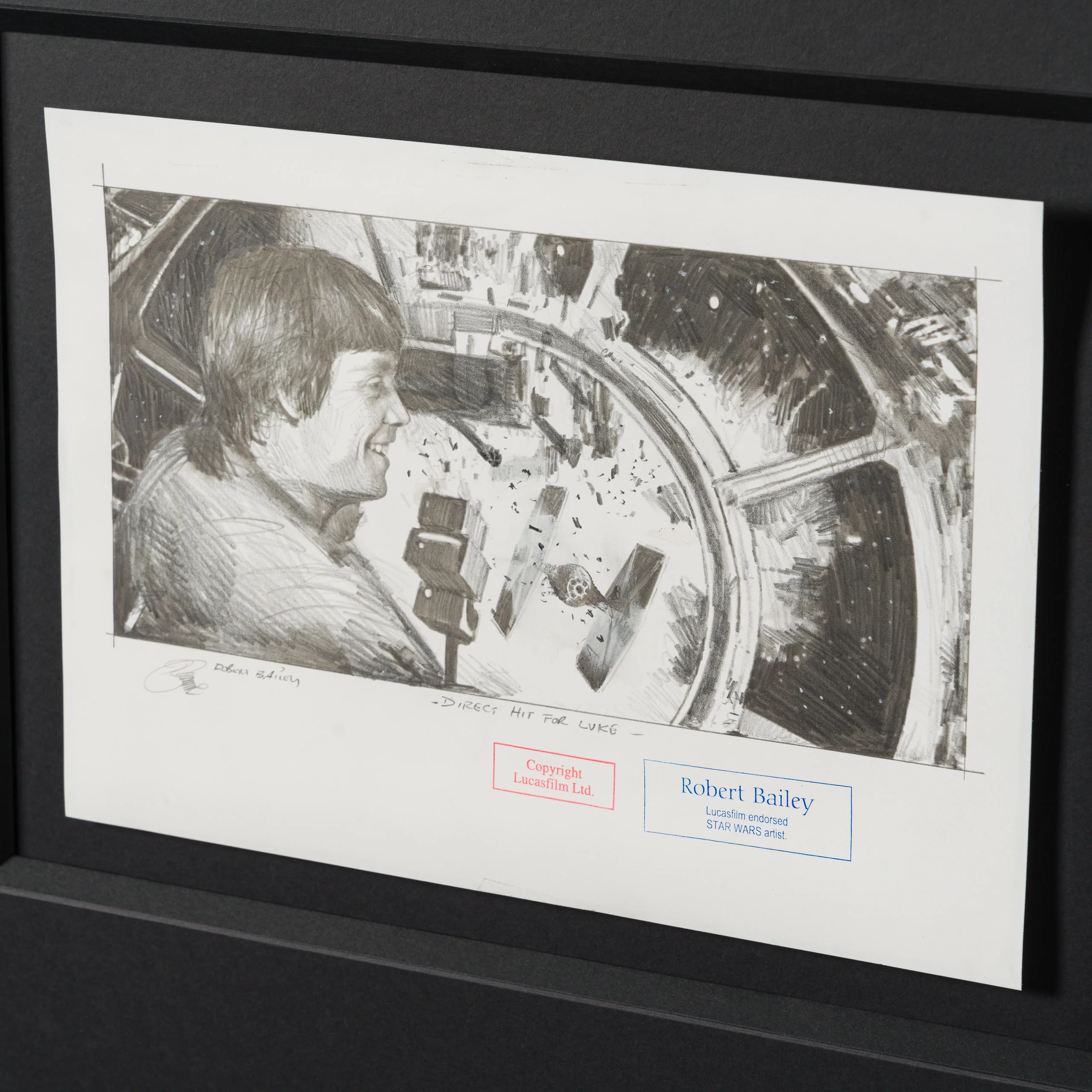 Direct Hit For Luke - Image 6