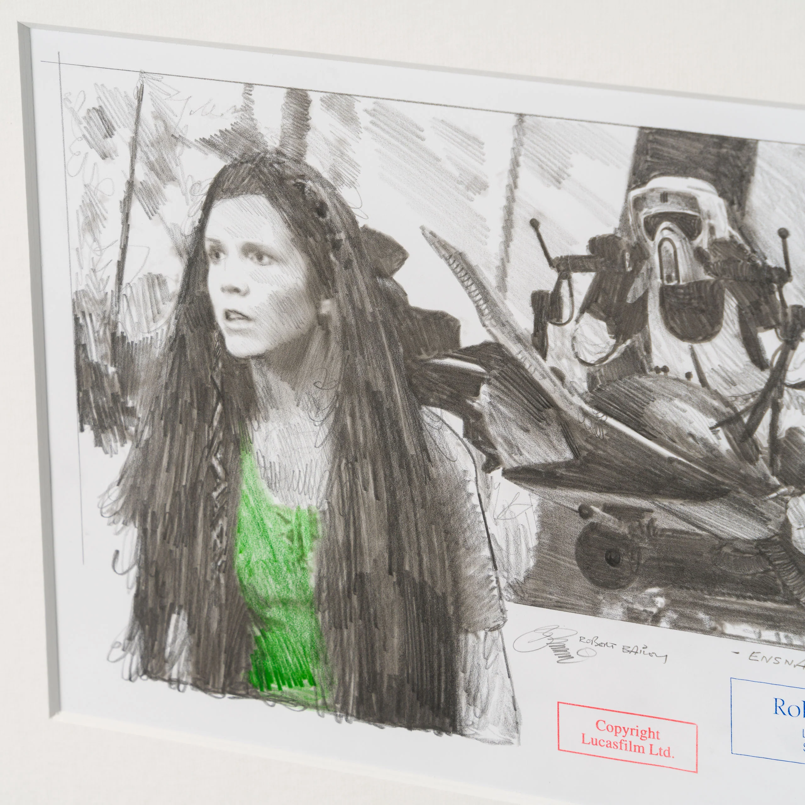 Ensnared On Endor - Image 5