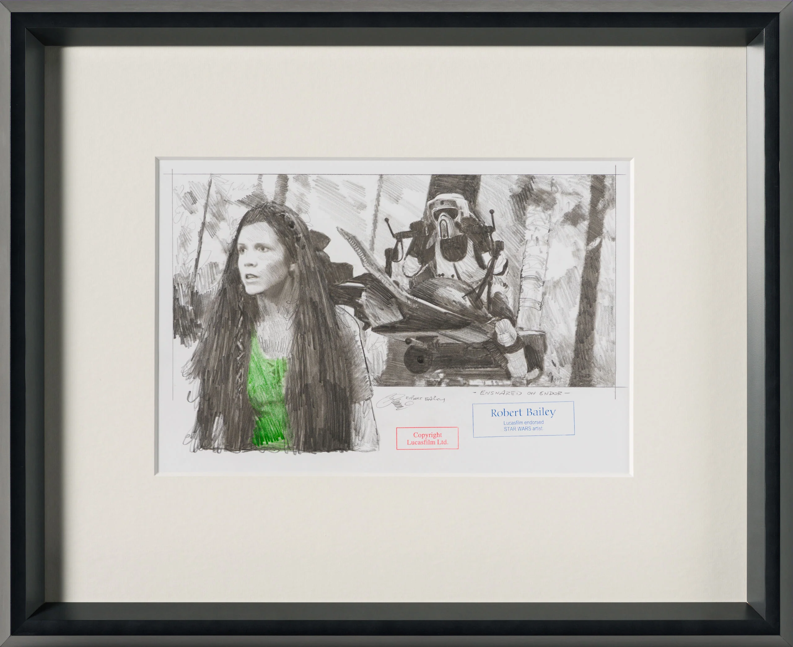 Ensnared On Endor - Image 7