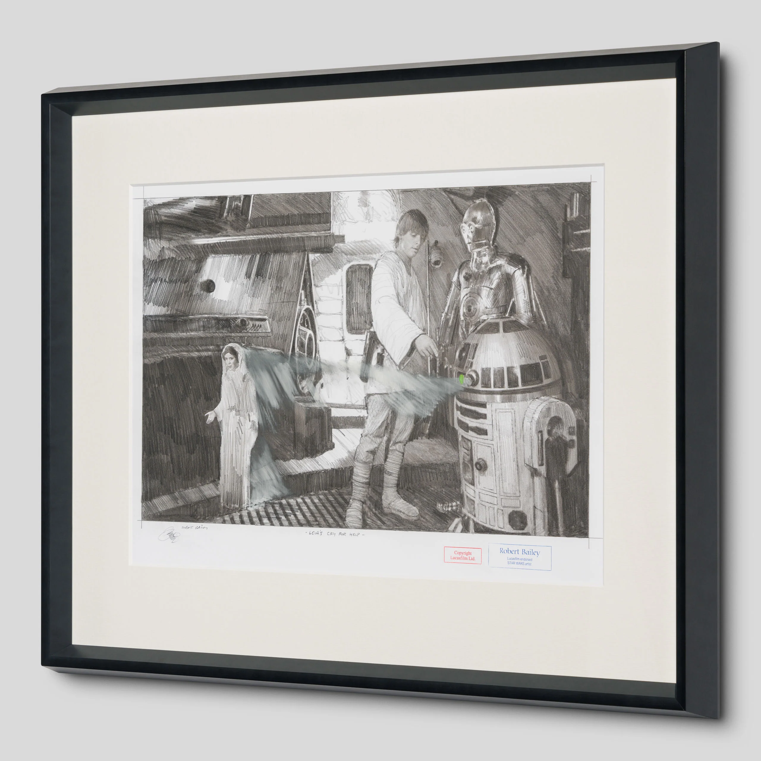 Leia's Cry For Help - Image 2