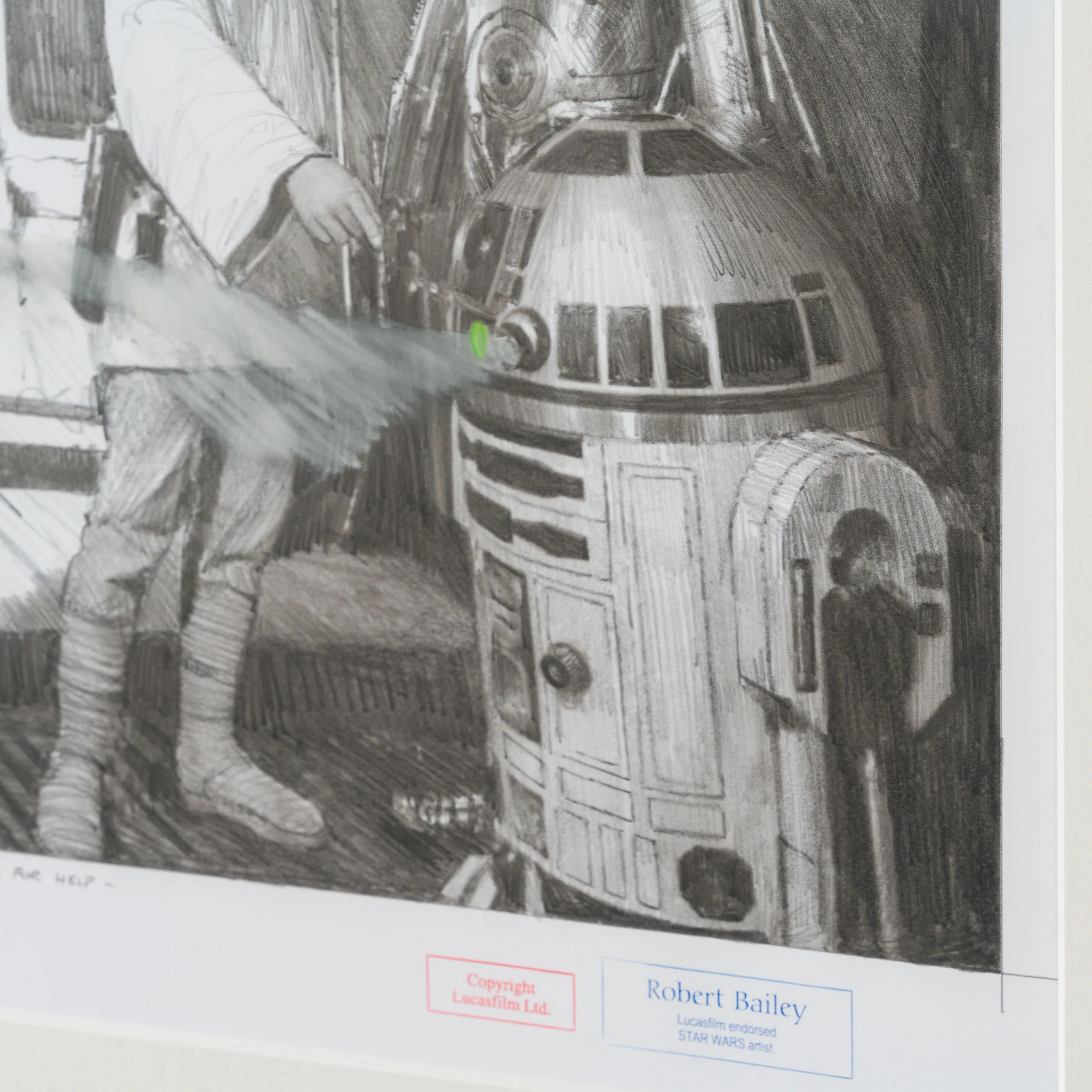 Leia's Cry For Help - Image 4