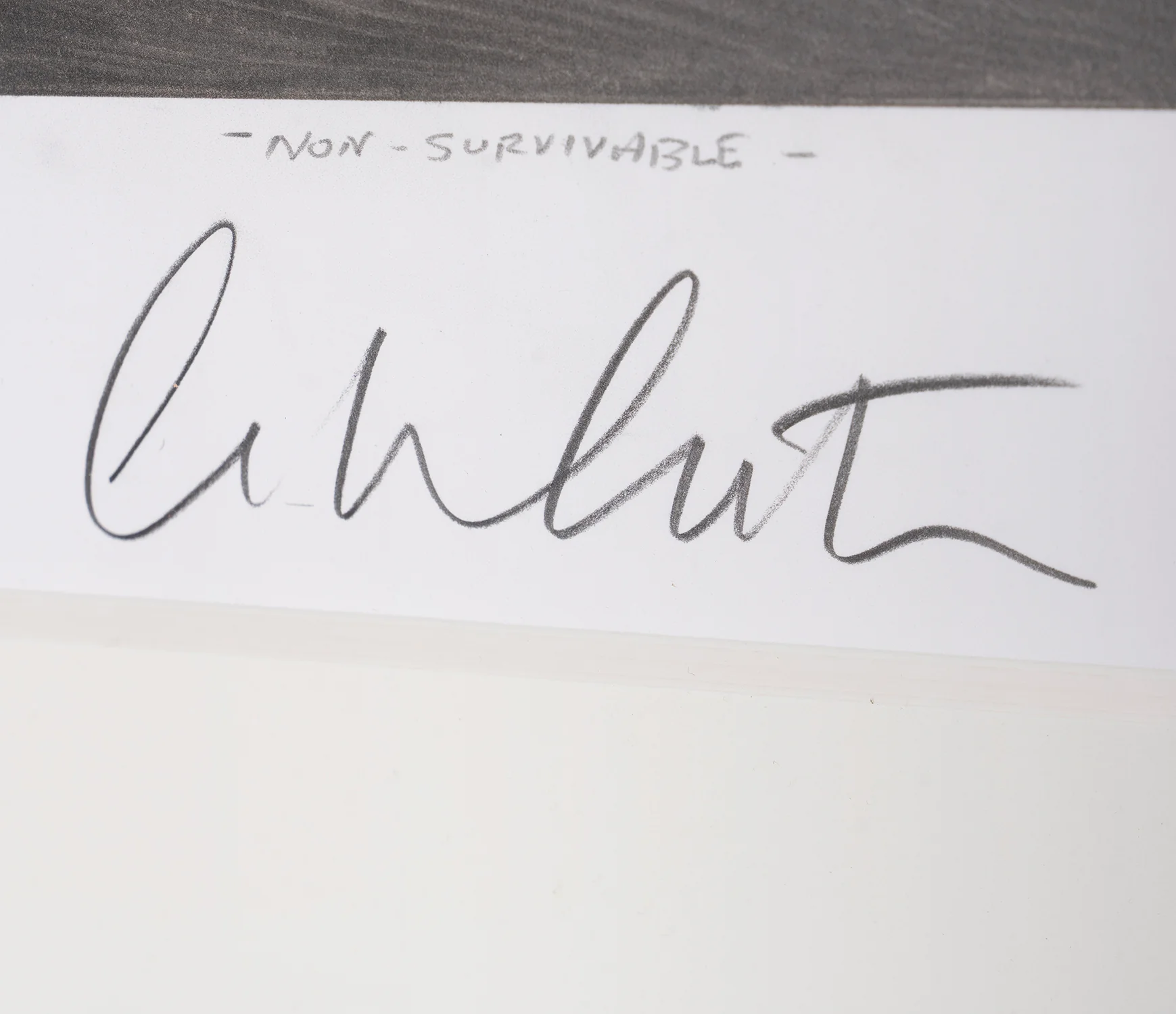 Non Survivable | Hand-signed by William Shatner - Image 4