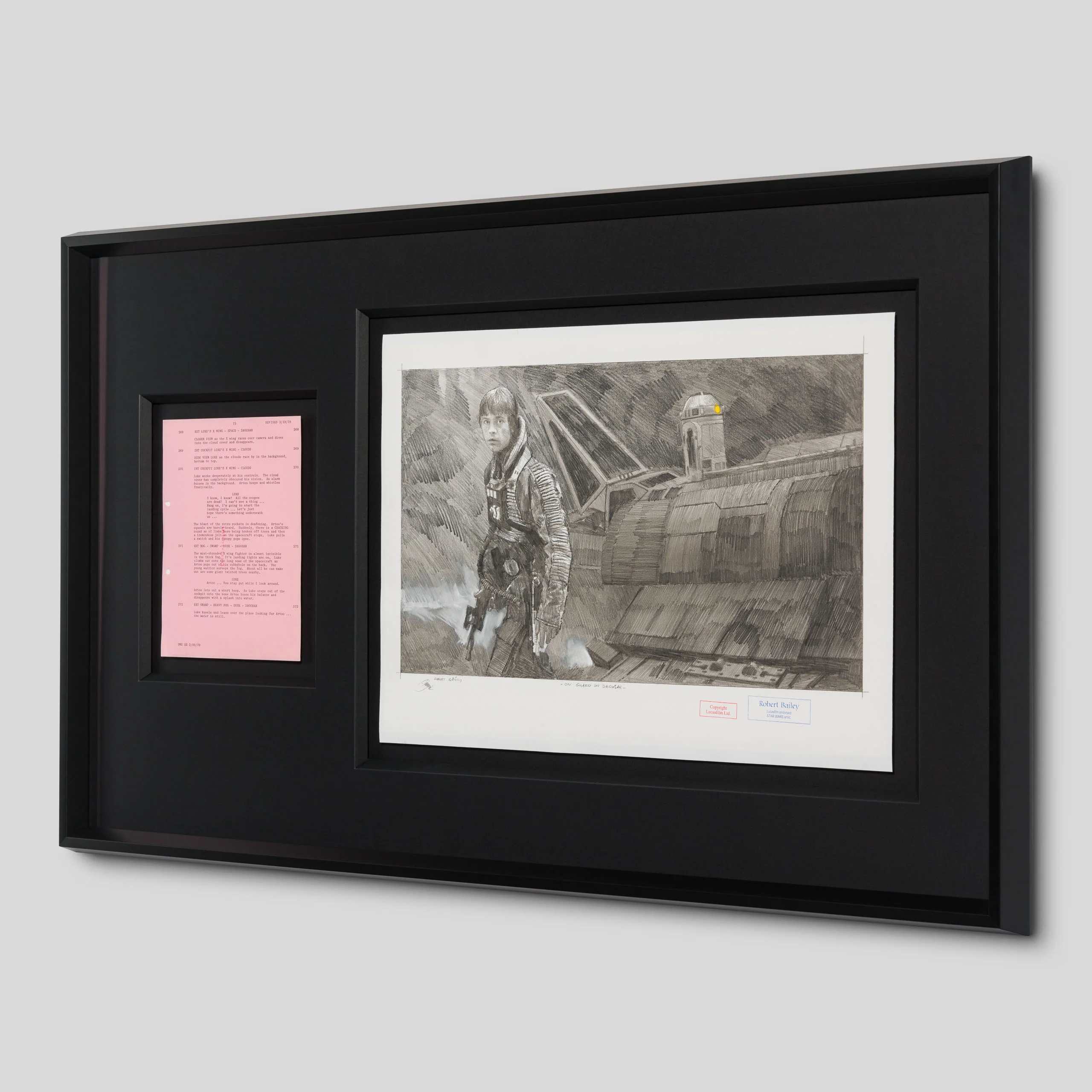 On Guard On Dagobah - Image 2