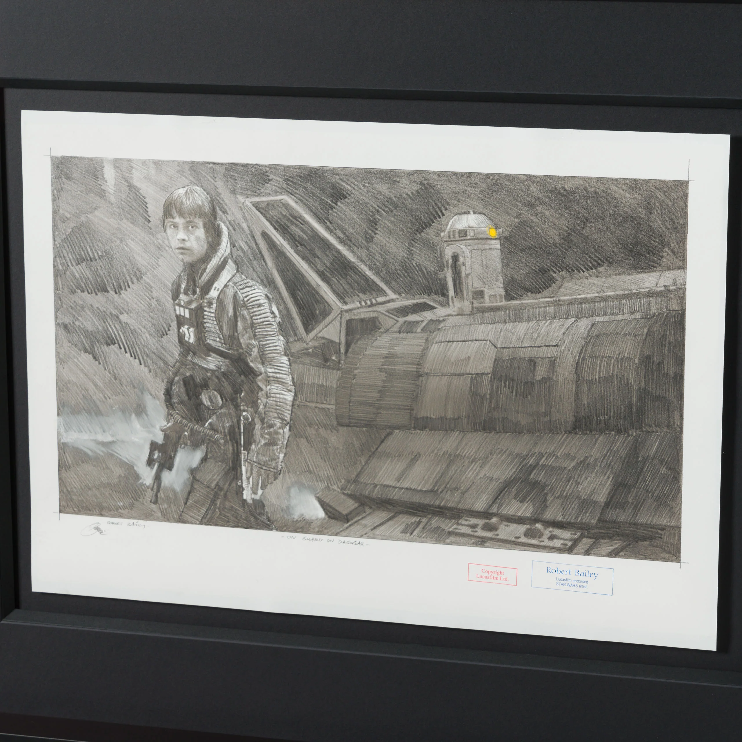 On Guard On Dagobah - Image 7
