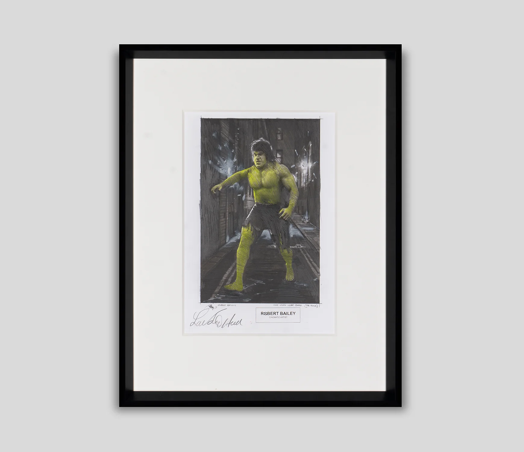 One-Man War Zone (The Hulk)
