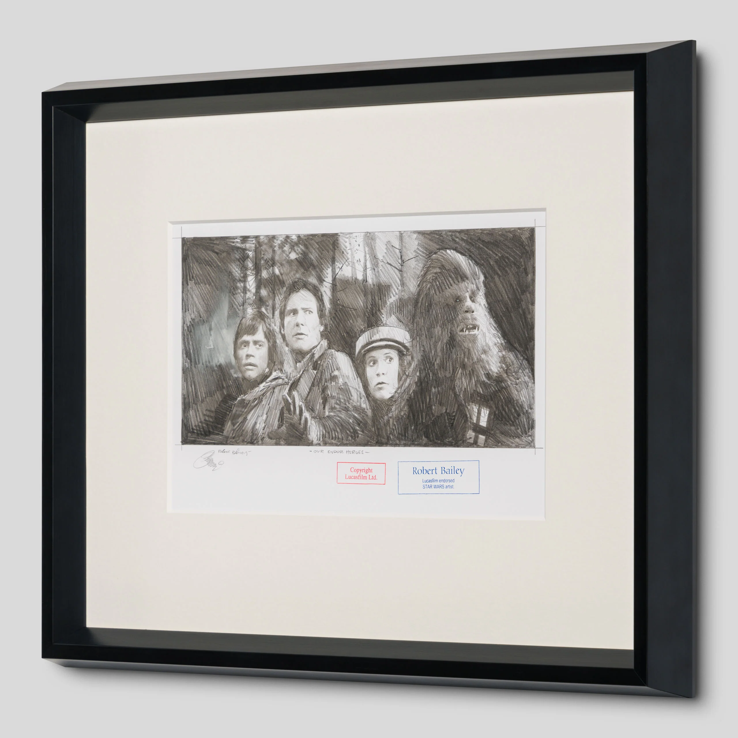 Our Endor Heroes - Image 2