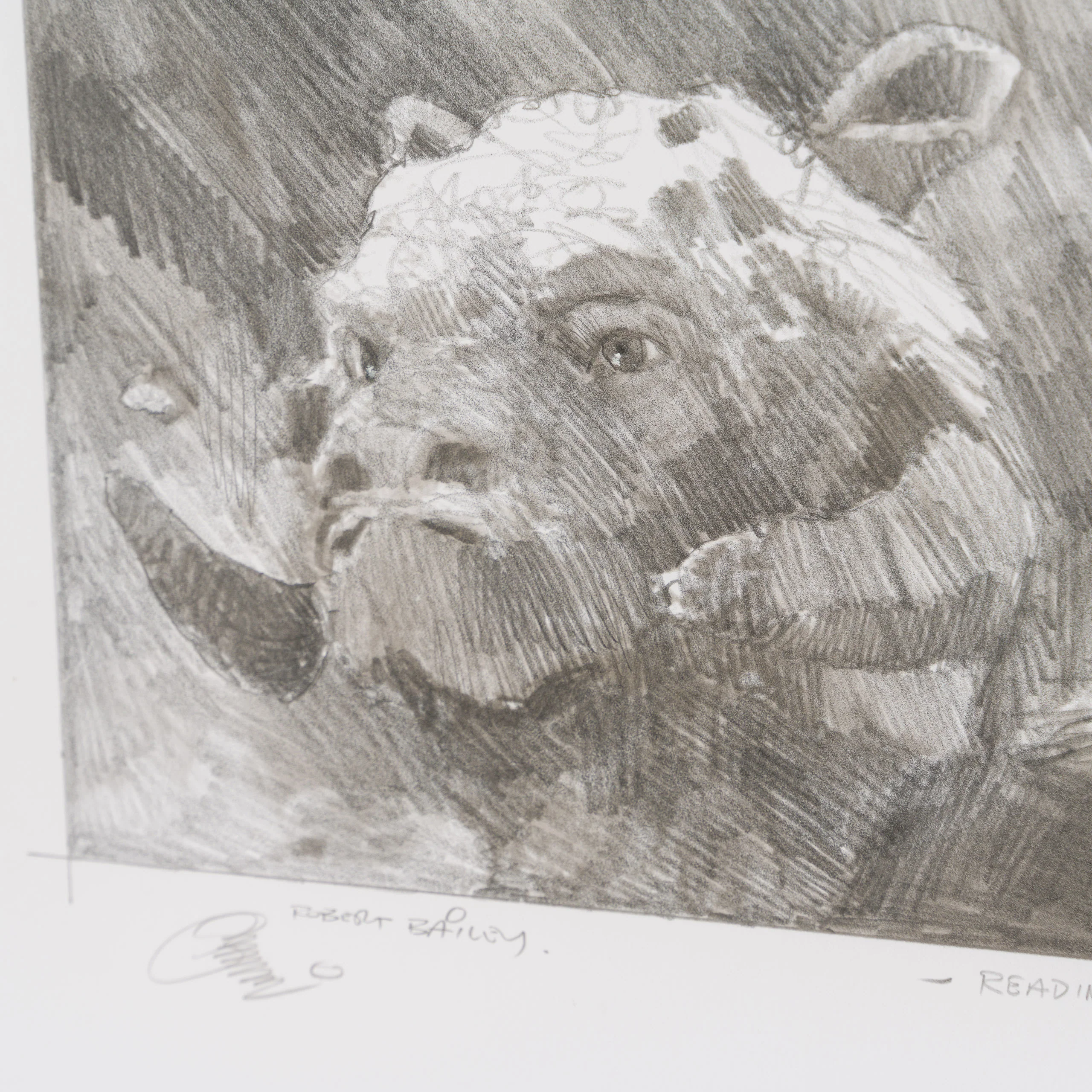 Readiness Concerns - Image 6