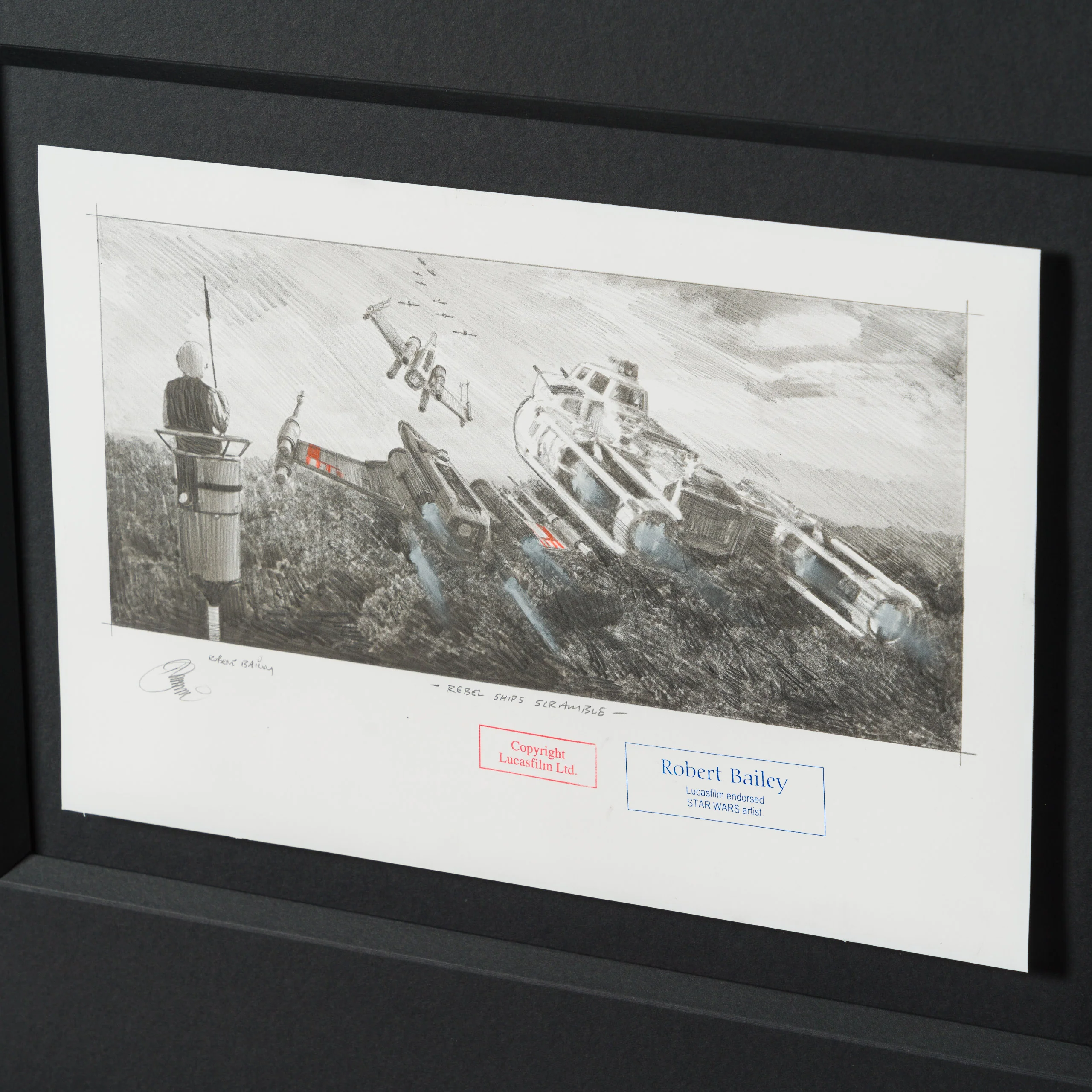Rebel Ships Scramble - Image 6