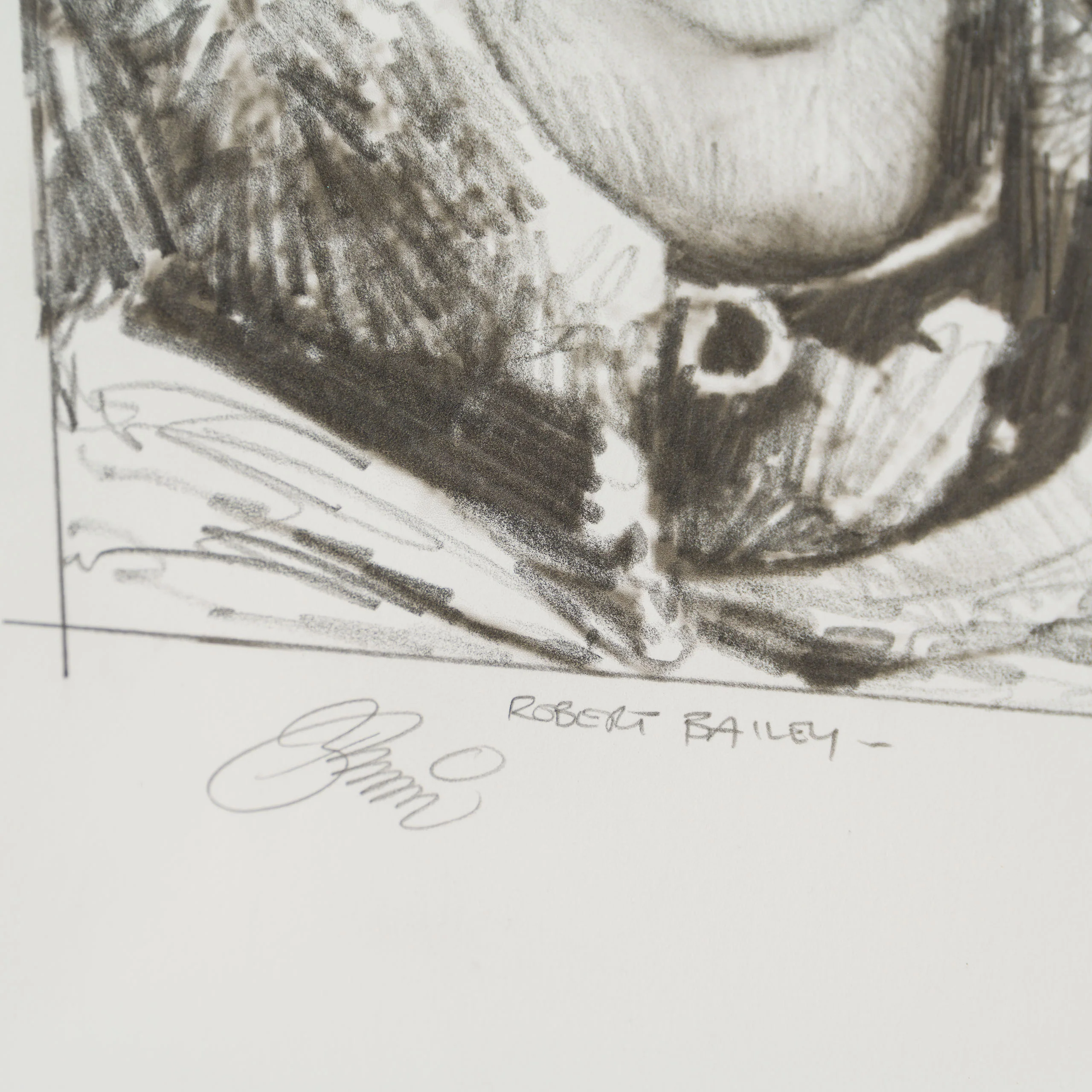 Rogue Two Rescue - Image 5