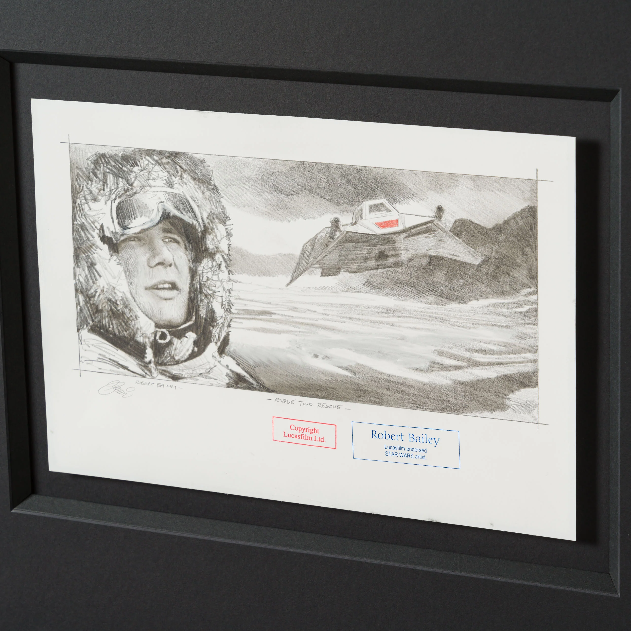 Rogue Two Rescue - Image 6