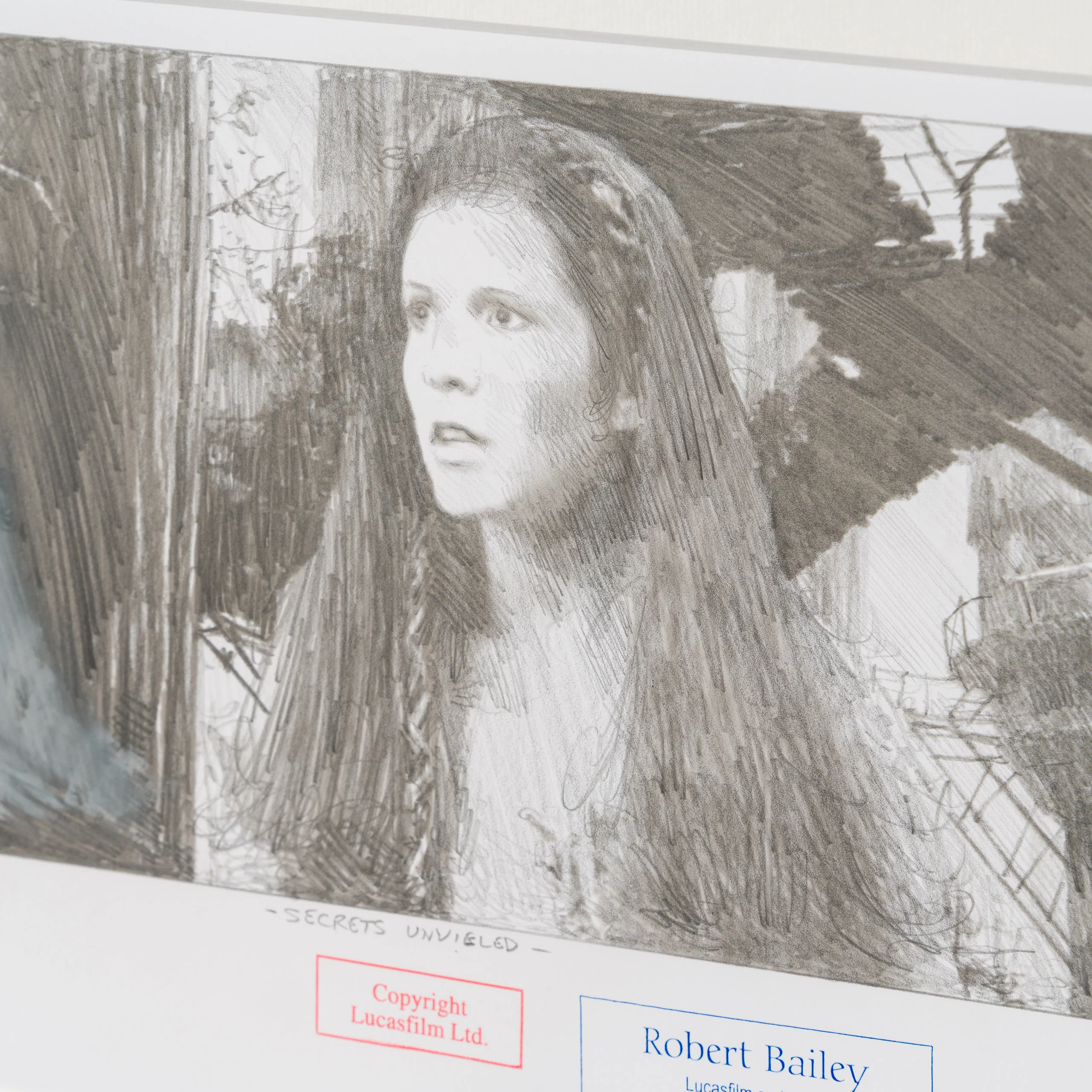 Secrets Unveiled - Image 5