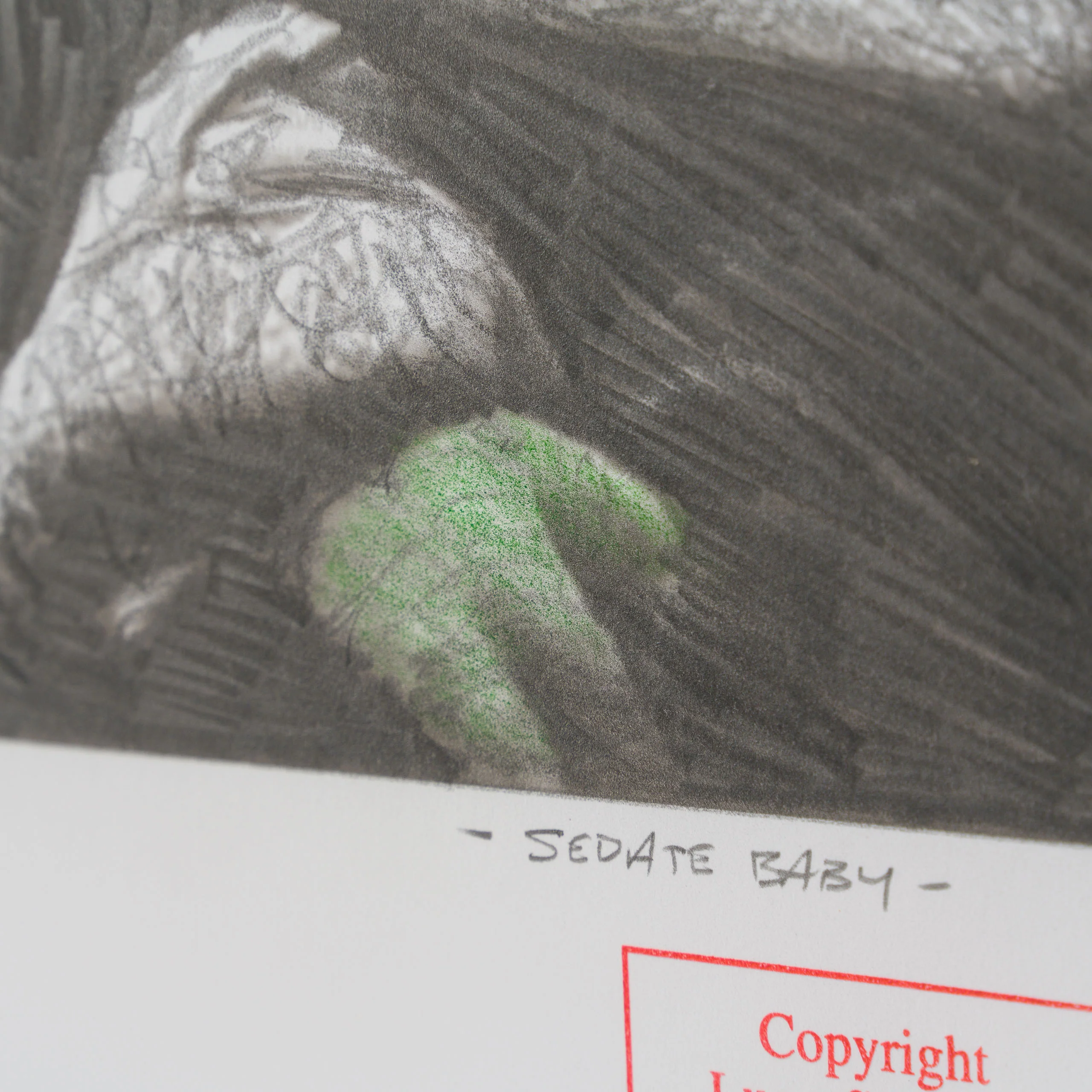Sedate Baby - Image 4