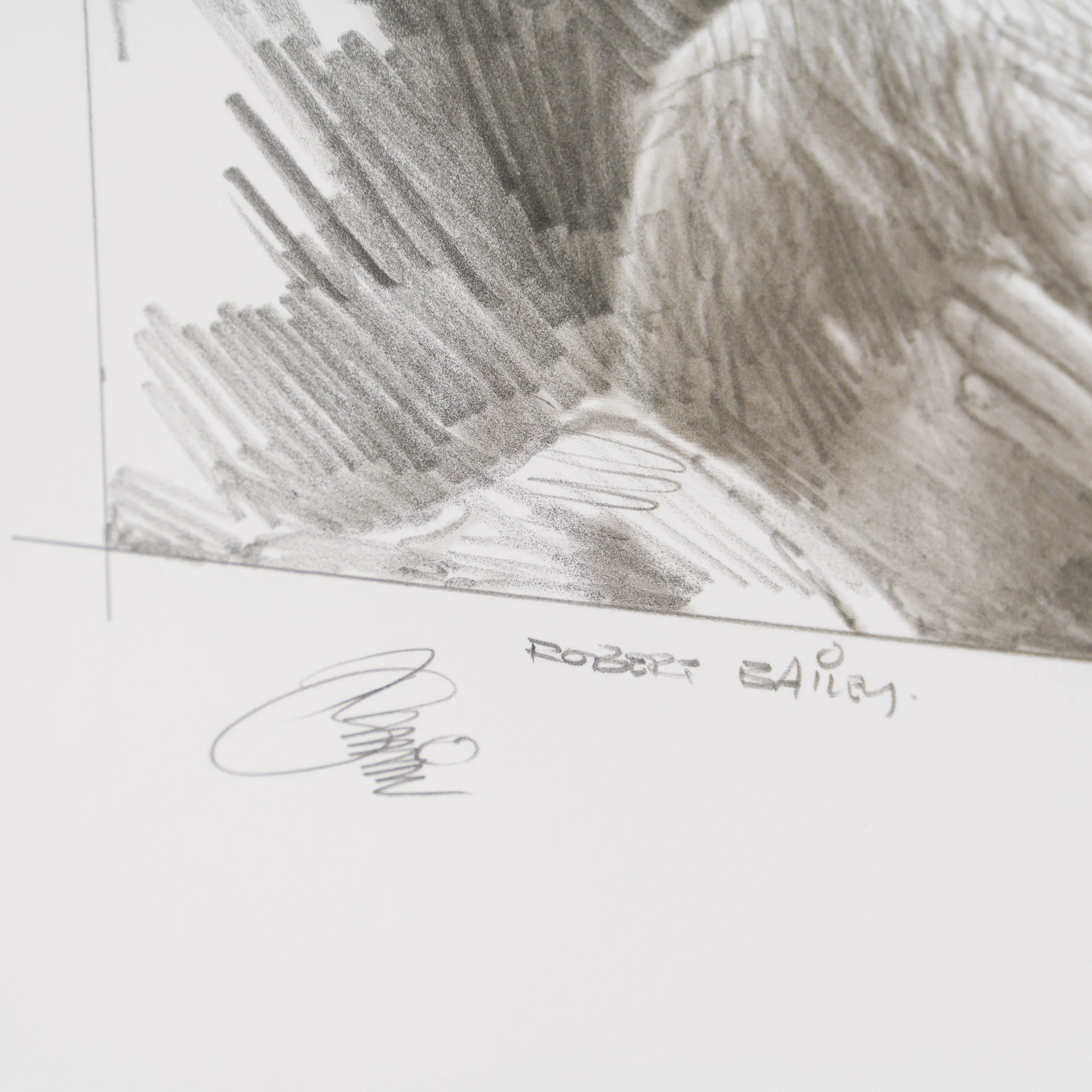 Springing A Kiss - Image 3