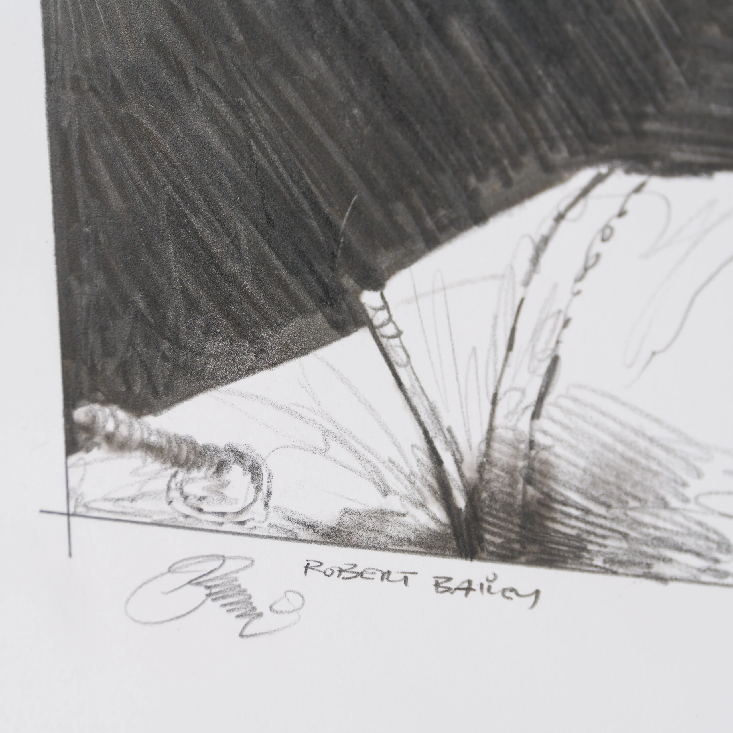Startled On Endor - Image 4
