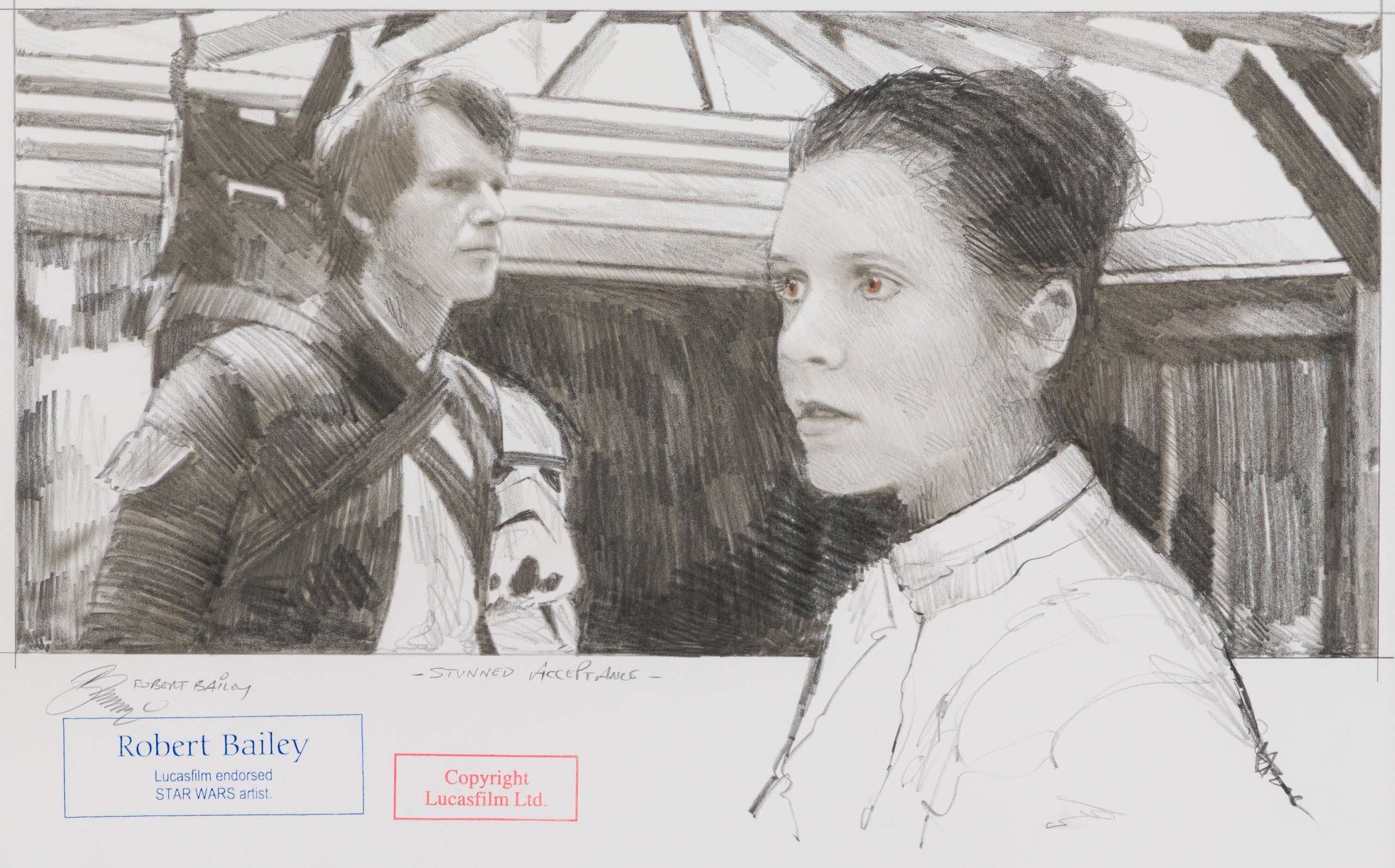 Stunned Acceptance - Image 8