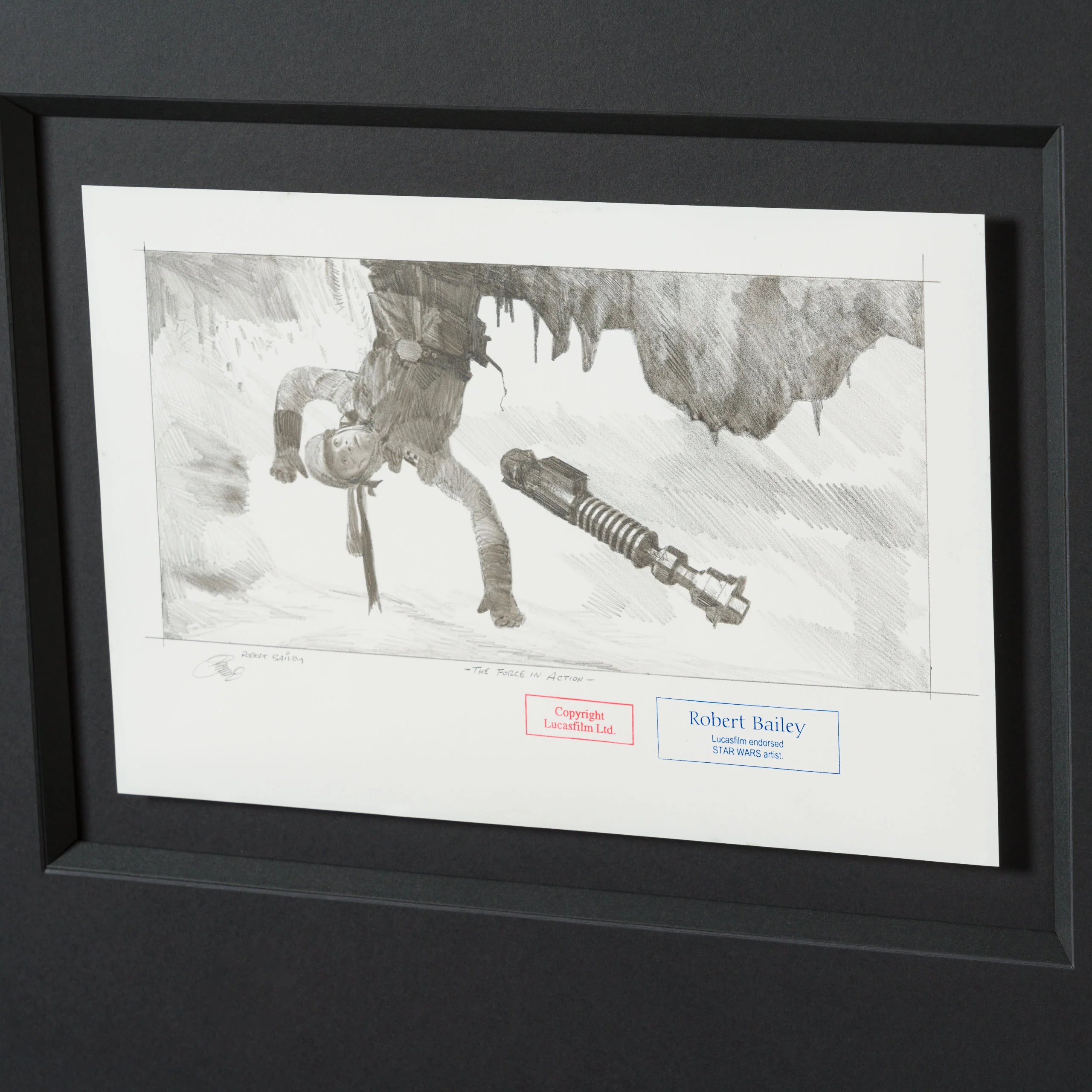The Force In Action - Image 6