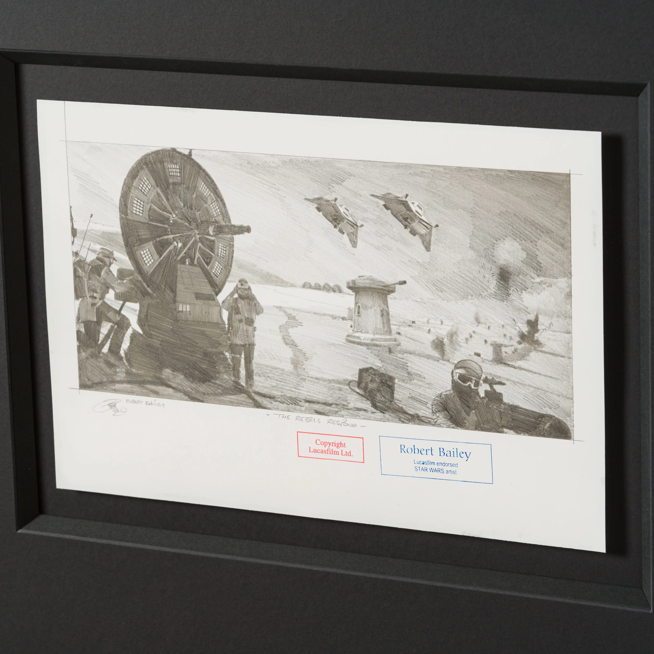 The Rebels Respond - Image 6