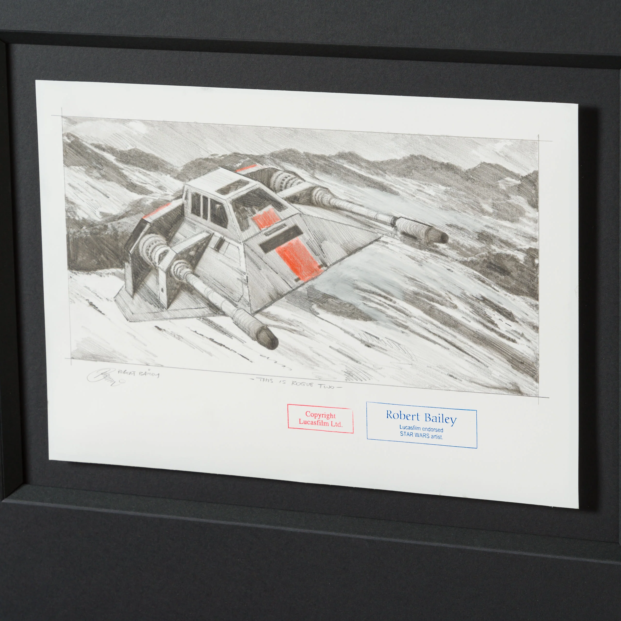 This Is Rogue Two - Image 3