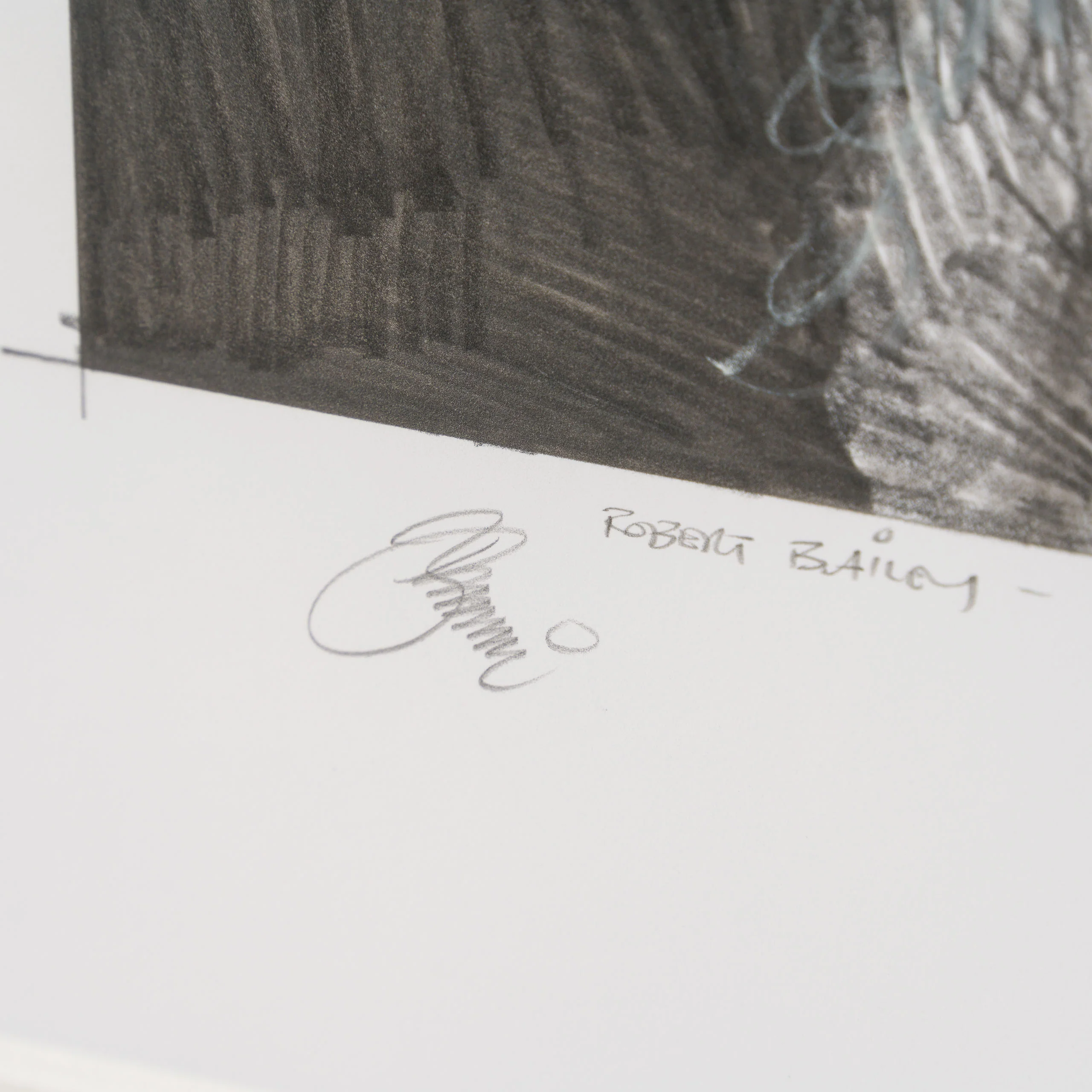 Warrior's Wookie - Image 3