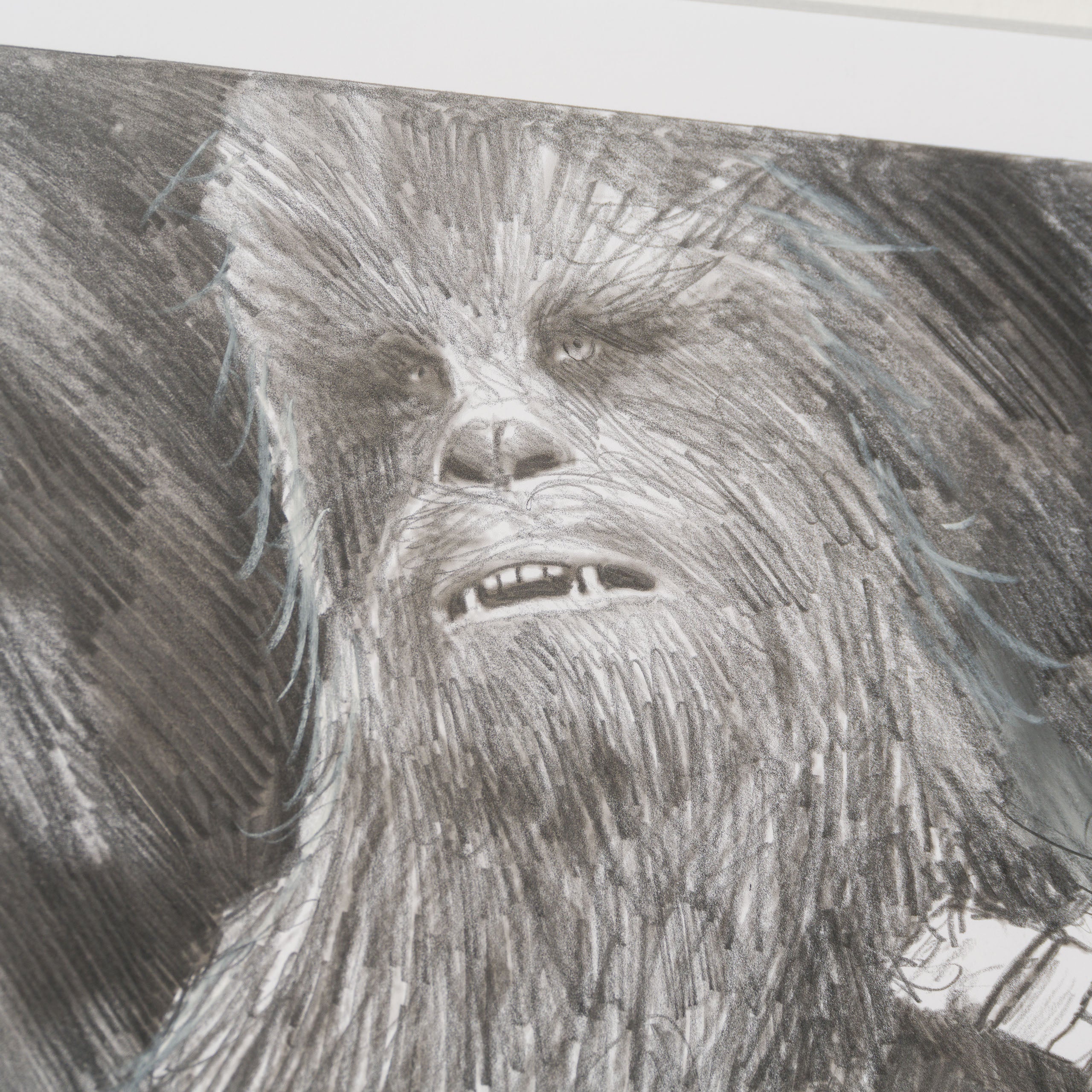 Warrior's Wookie - Image 4