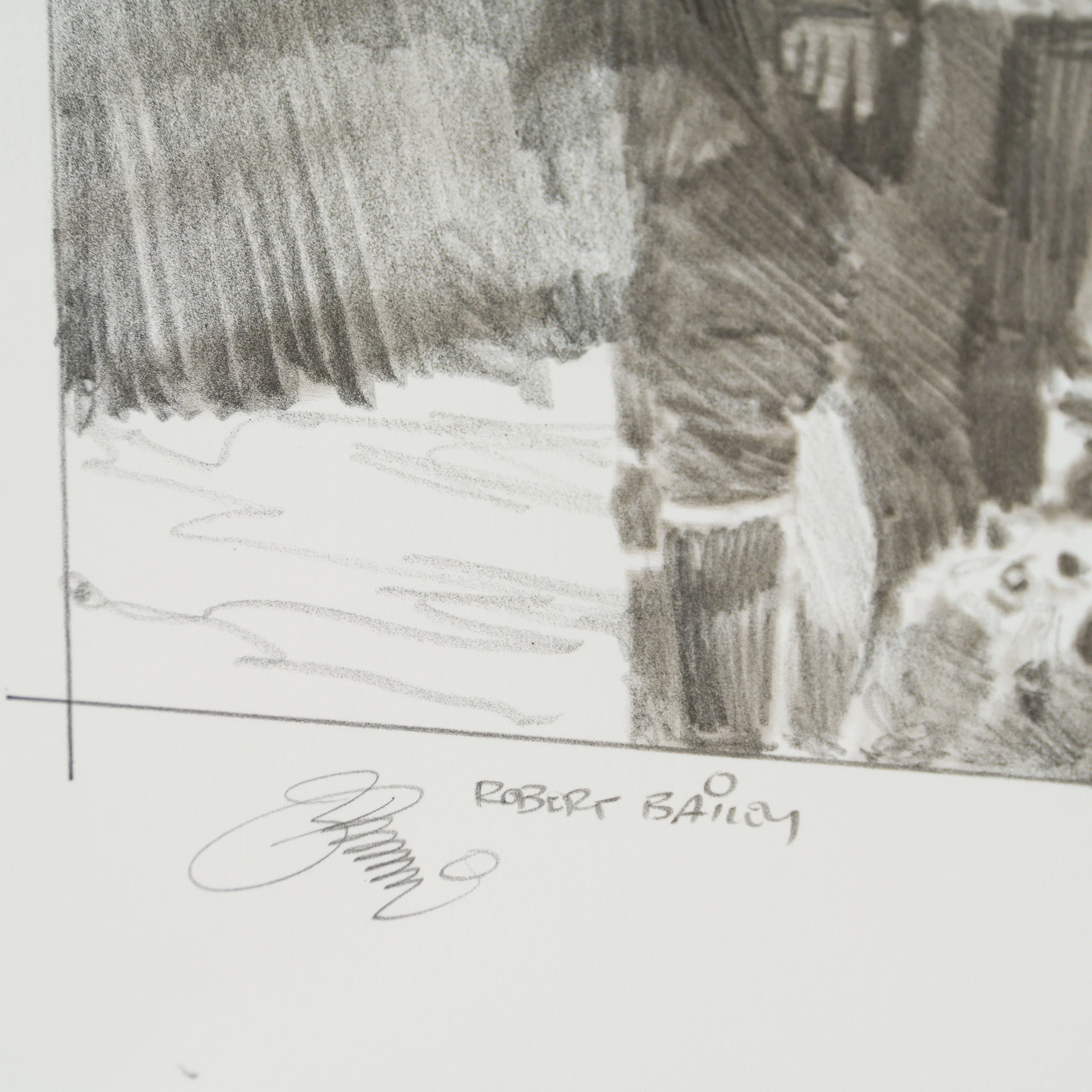 Where Is Luke? - Image 5