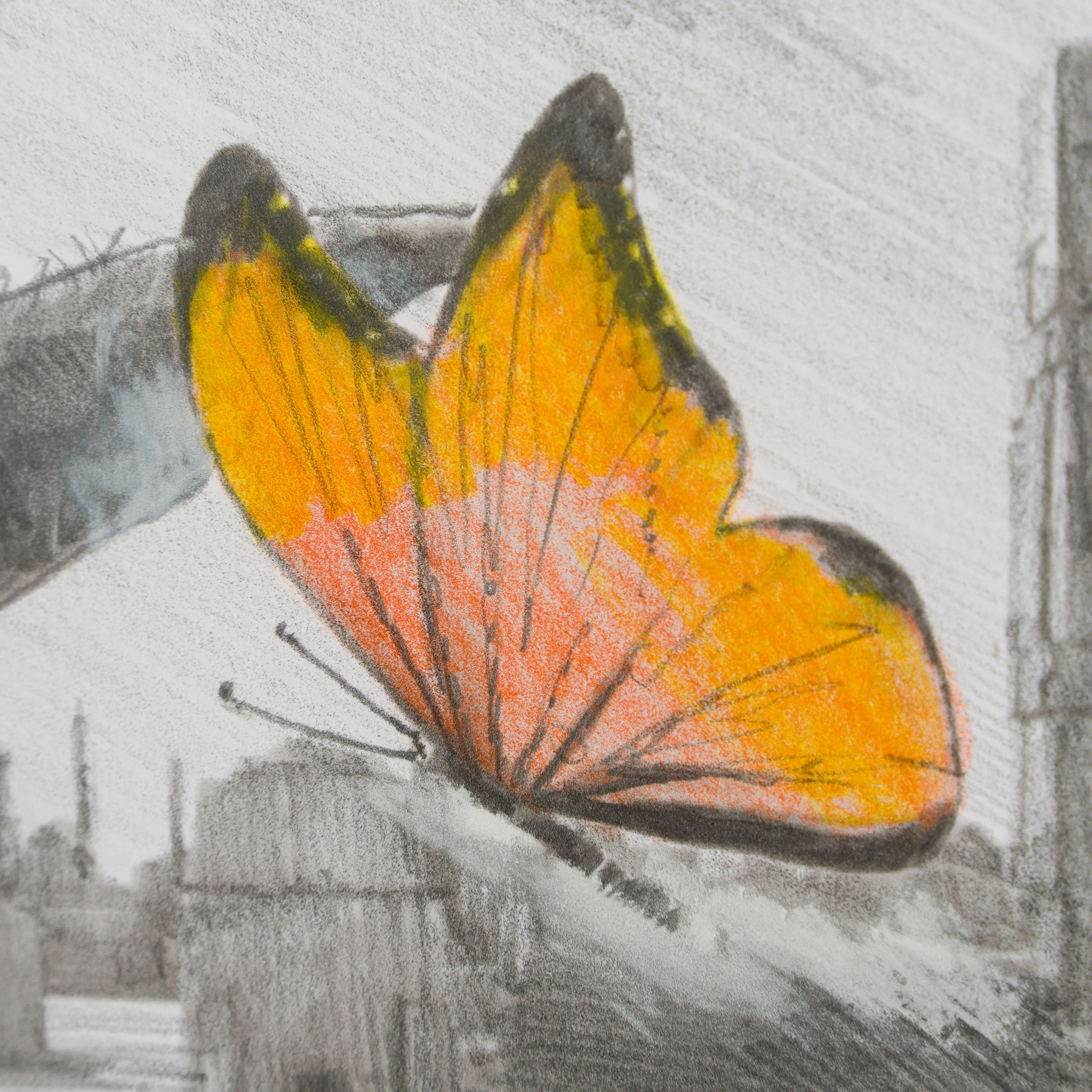 Wonder Of Wonders - Image 3