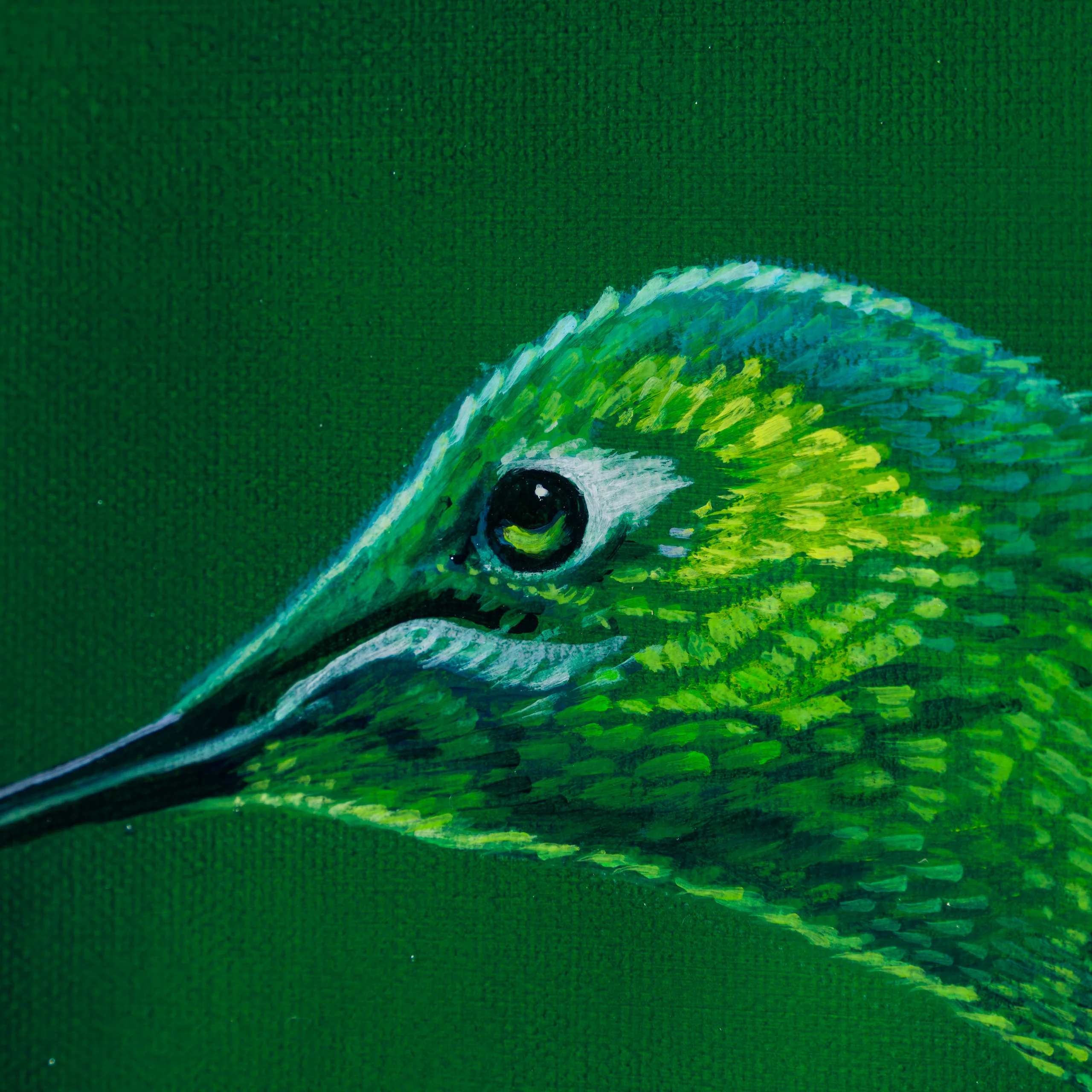 Ensifera - Image 2