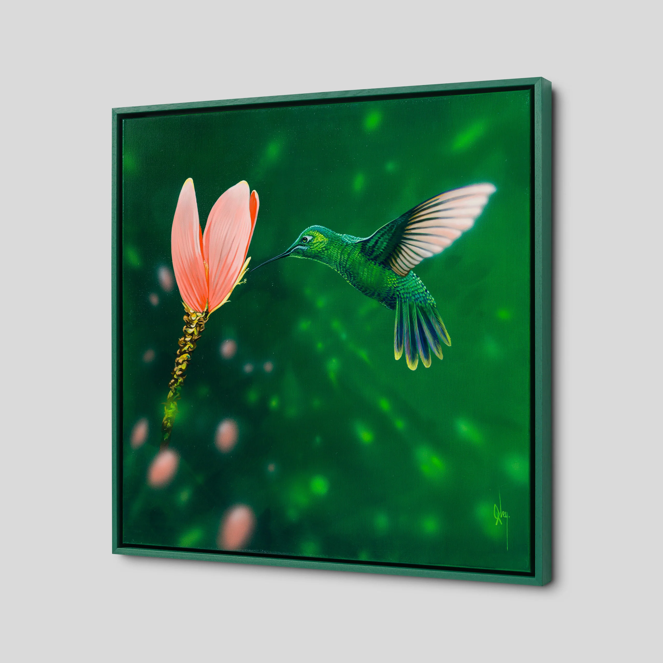 Ensifera - Image 5