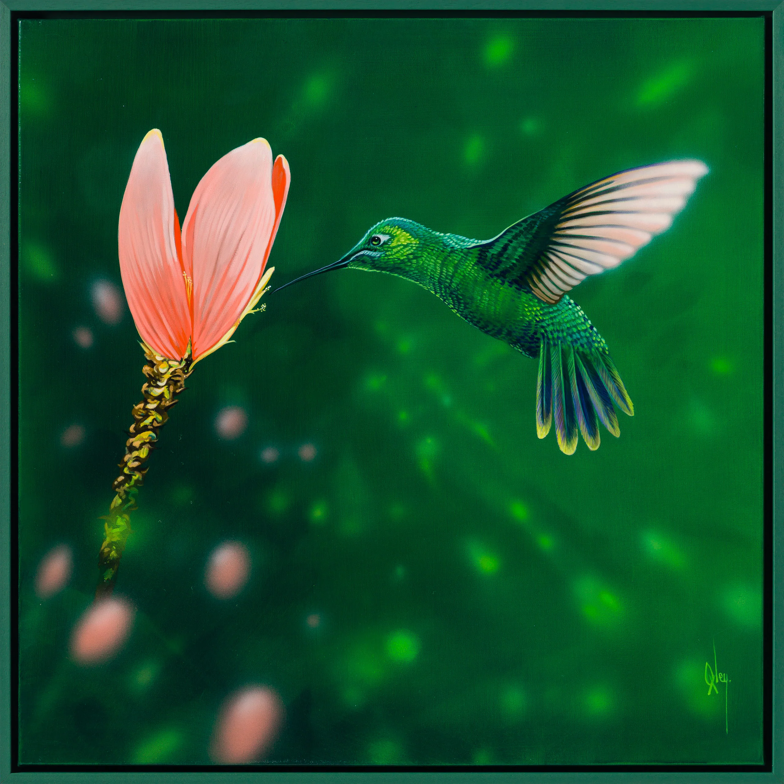 Ensifera - Image 7