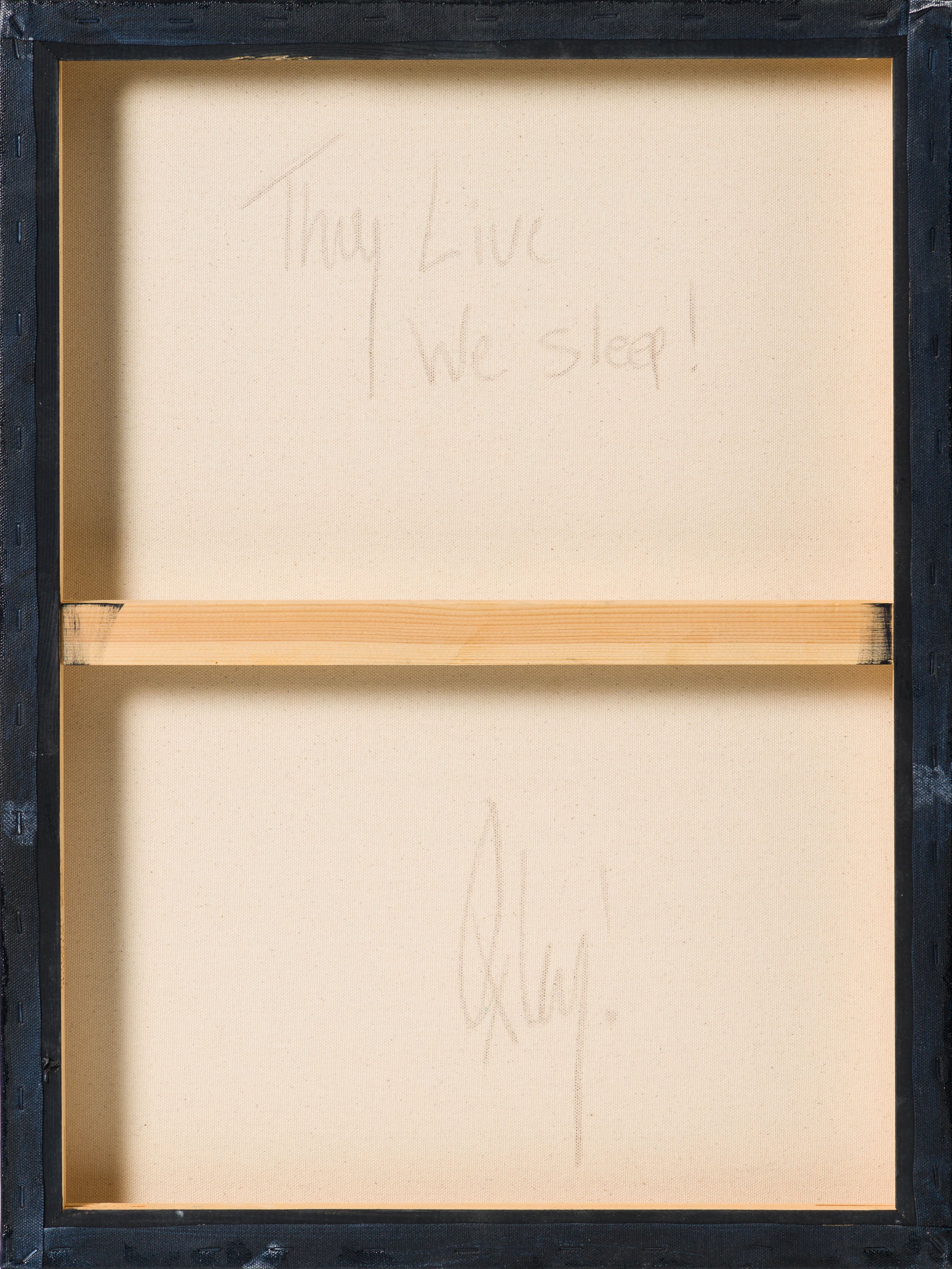 They Live We Sleep - Image 8