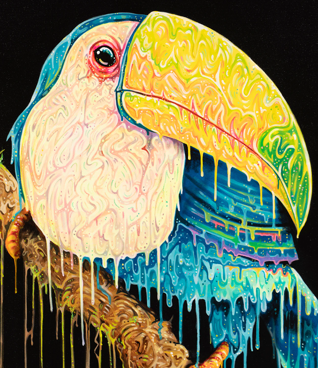 Toco - Image 4
