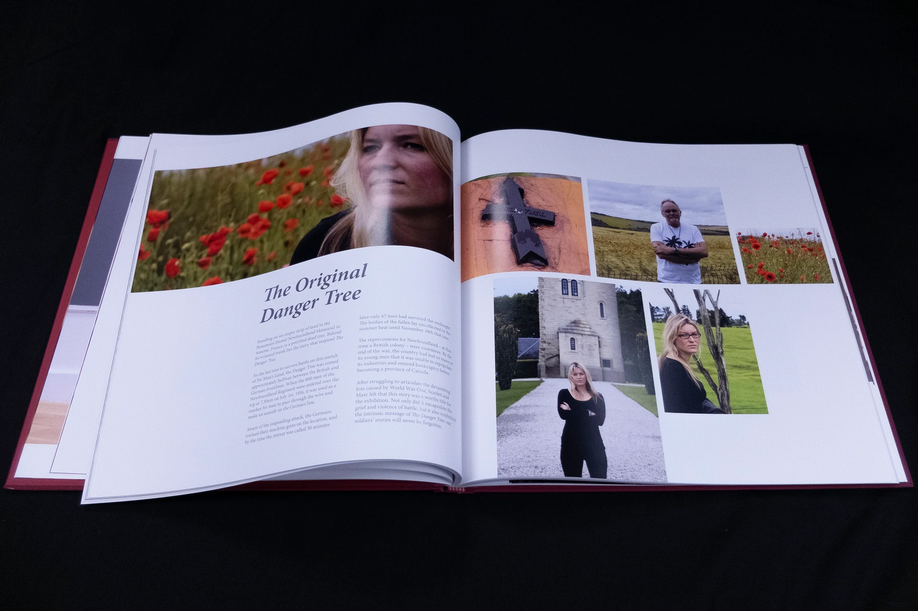 The Danger Tree | Catalogue Raisonné - Image 3