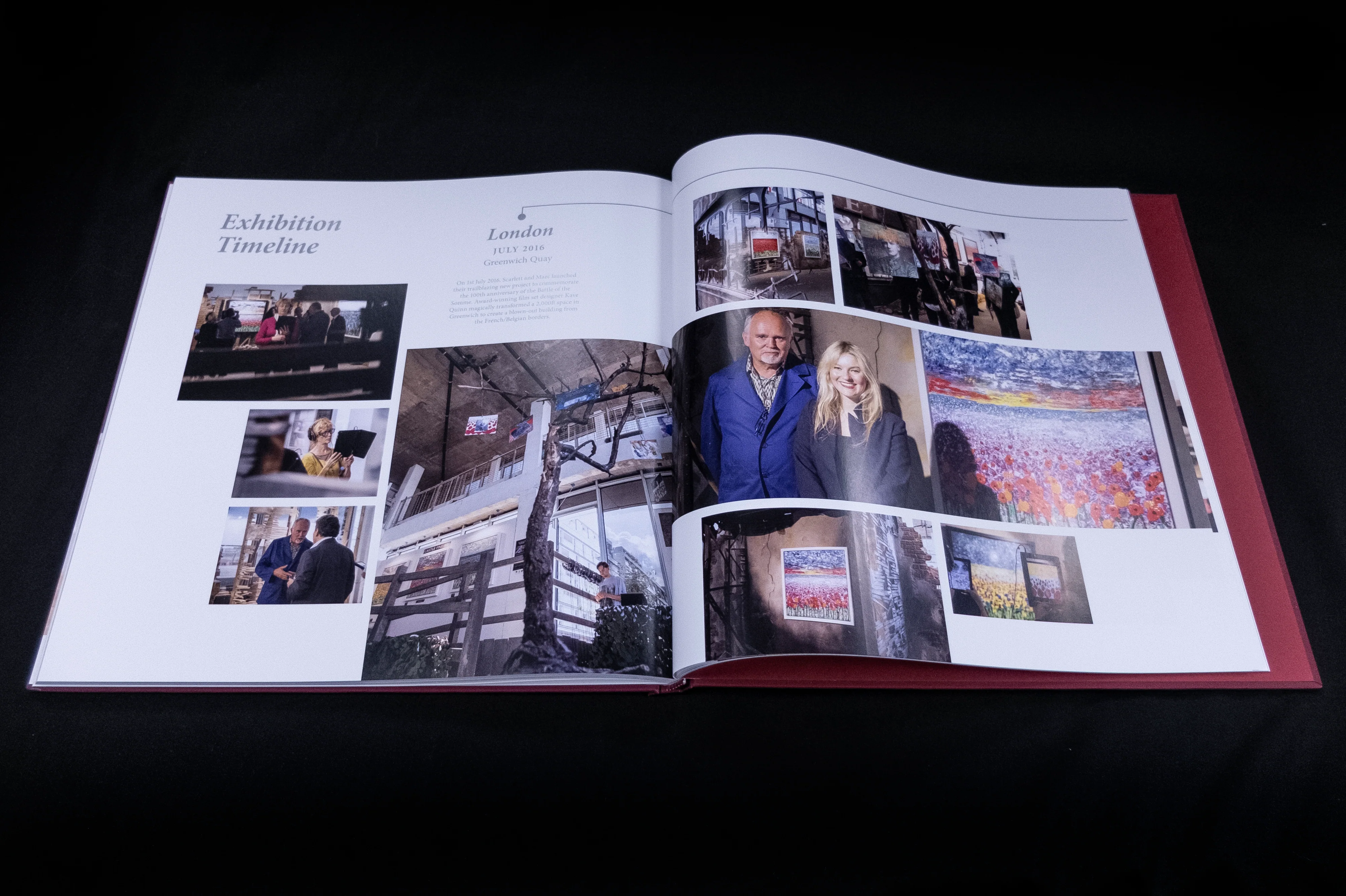 The Danger Tree | Catalogue Raisonné - Image 4