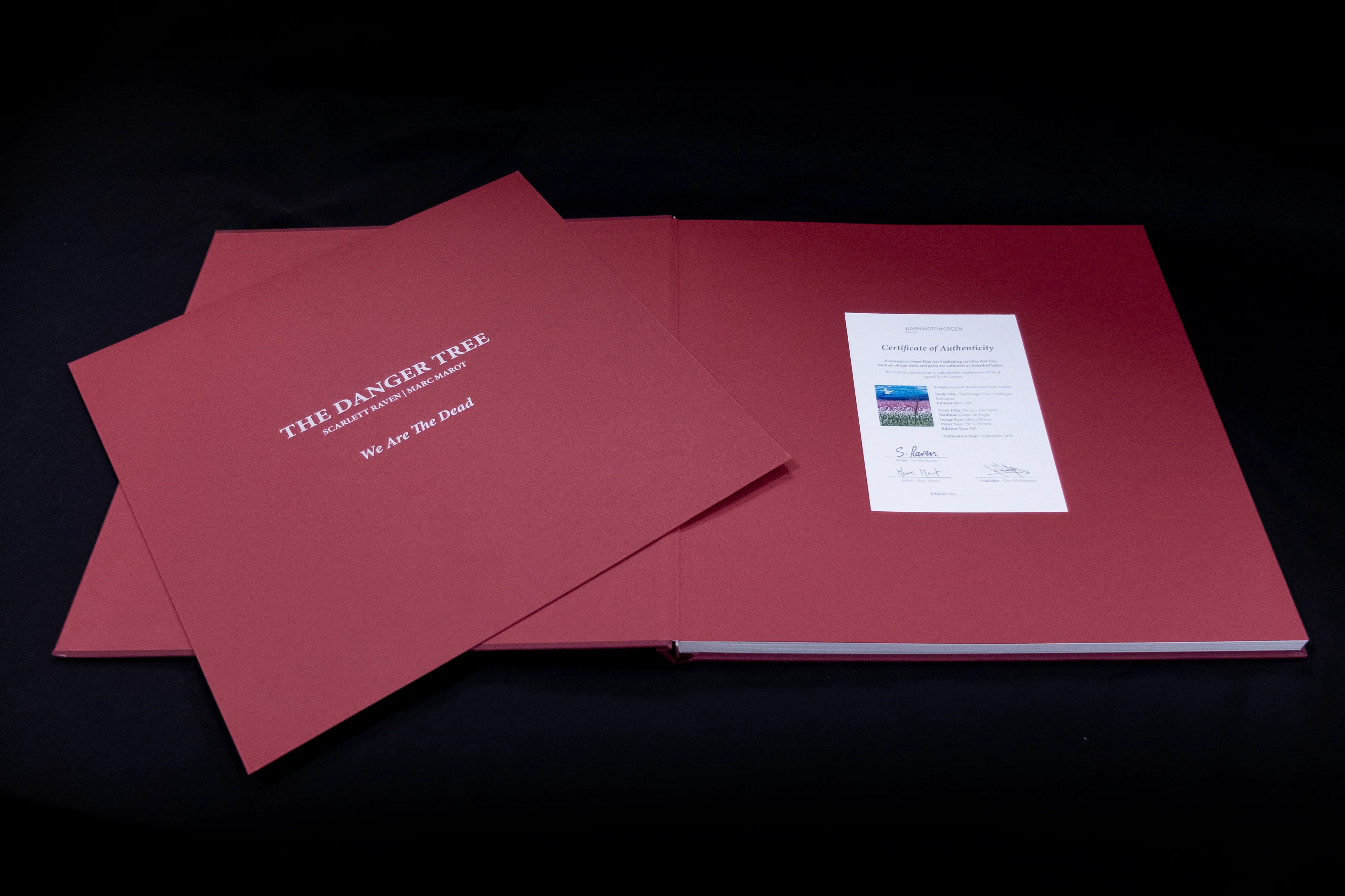 The Danger Tree | Catalogue Raisonné - Image 8