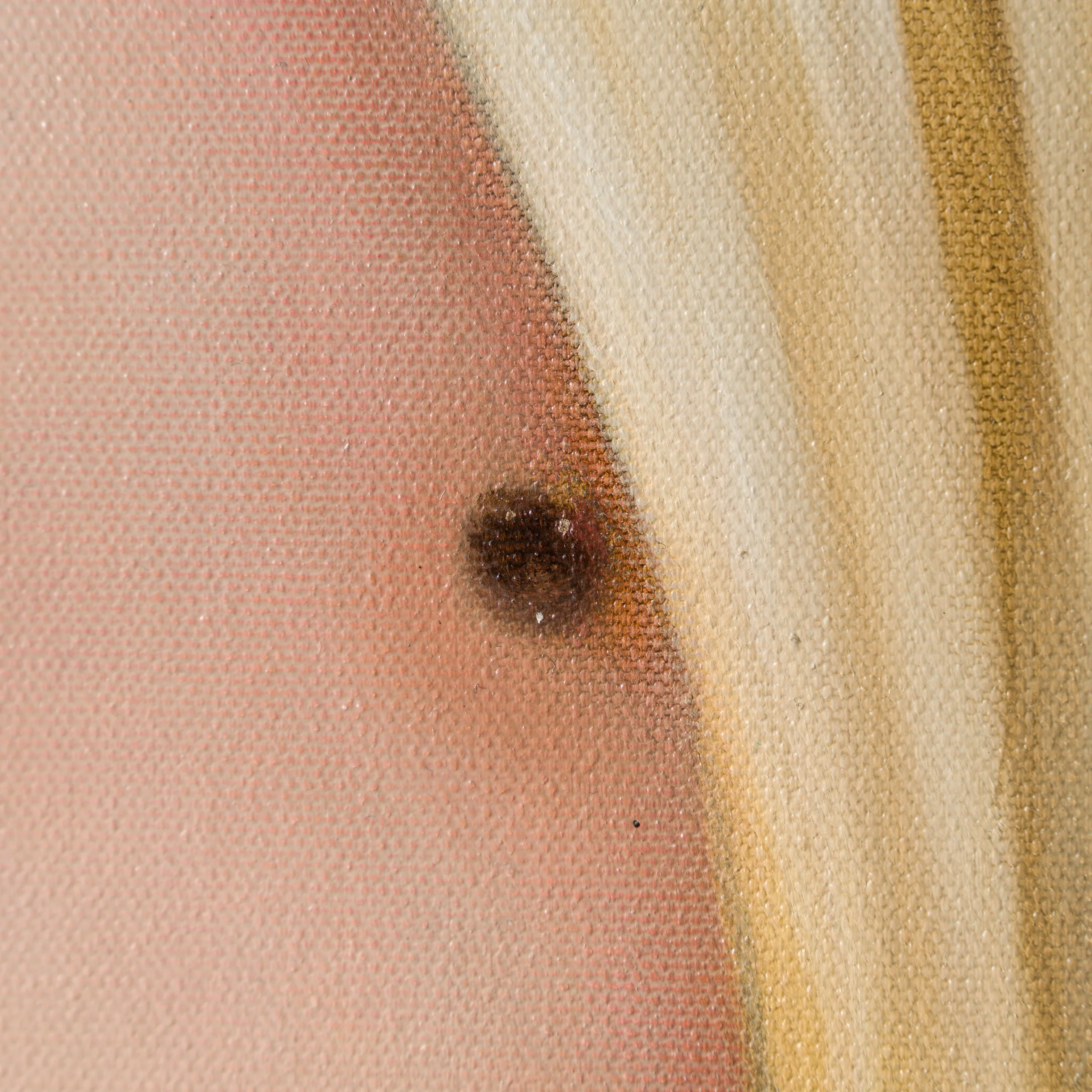 Clara - Image 4