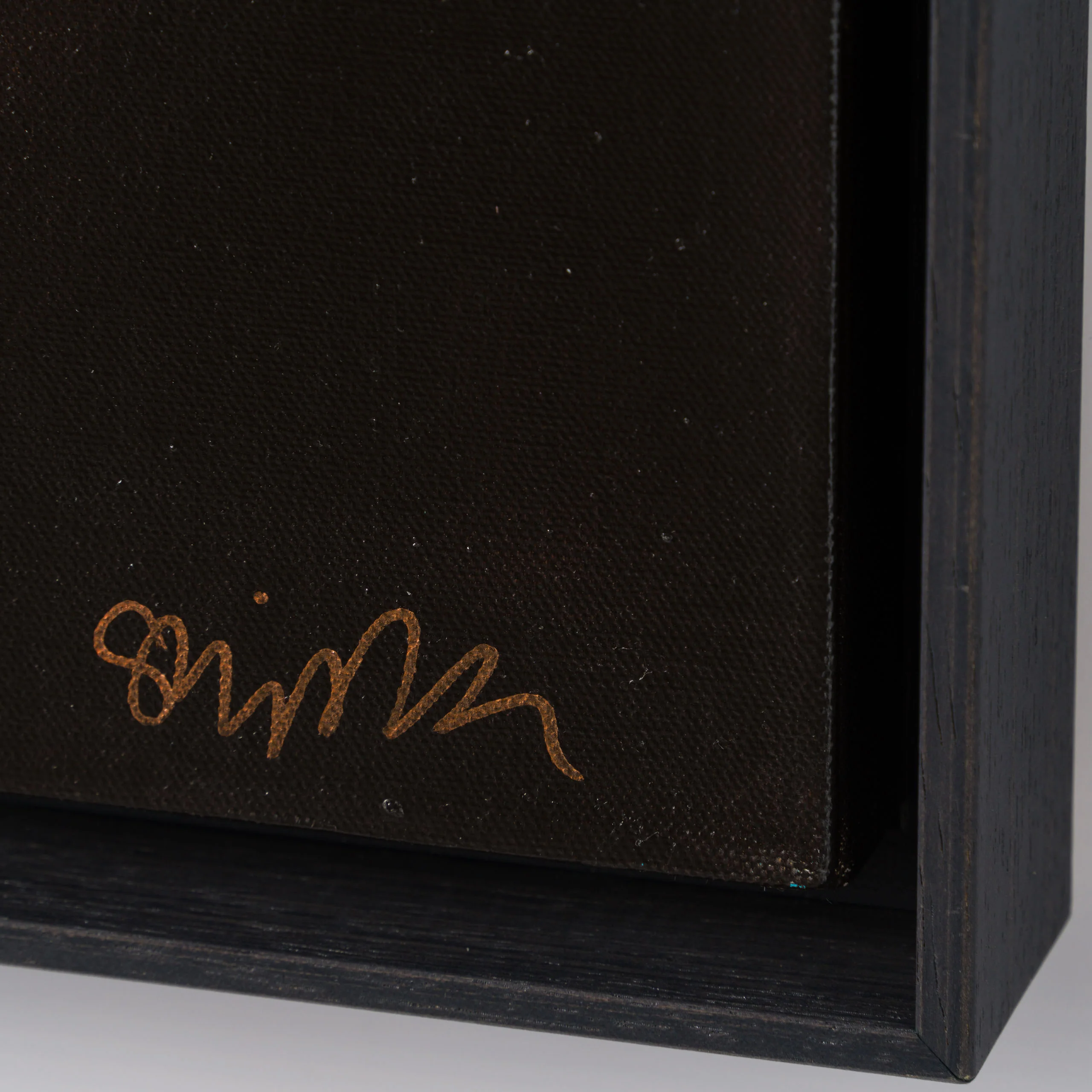 Clara - Image 6