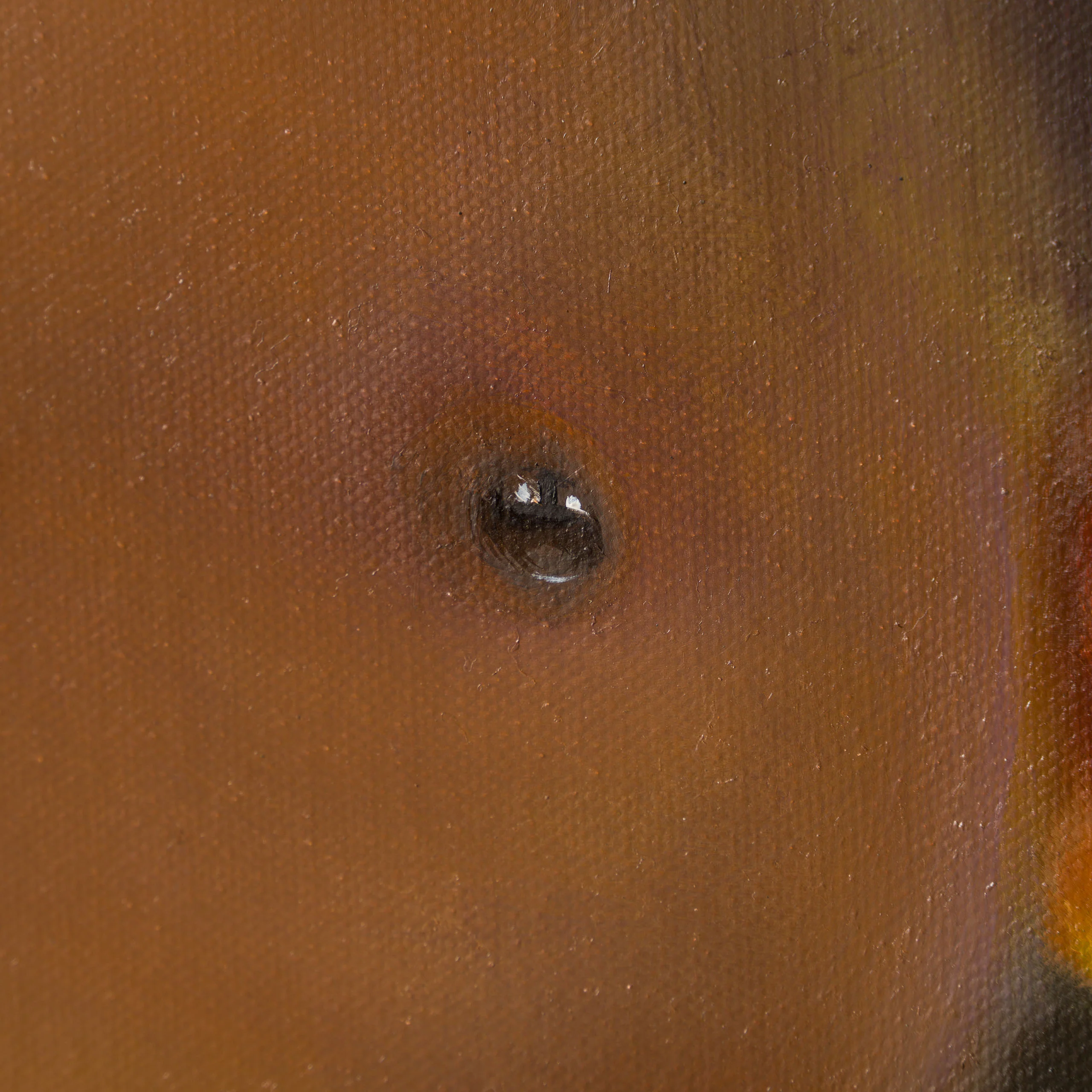 Edson - Image 3