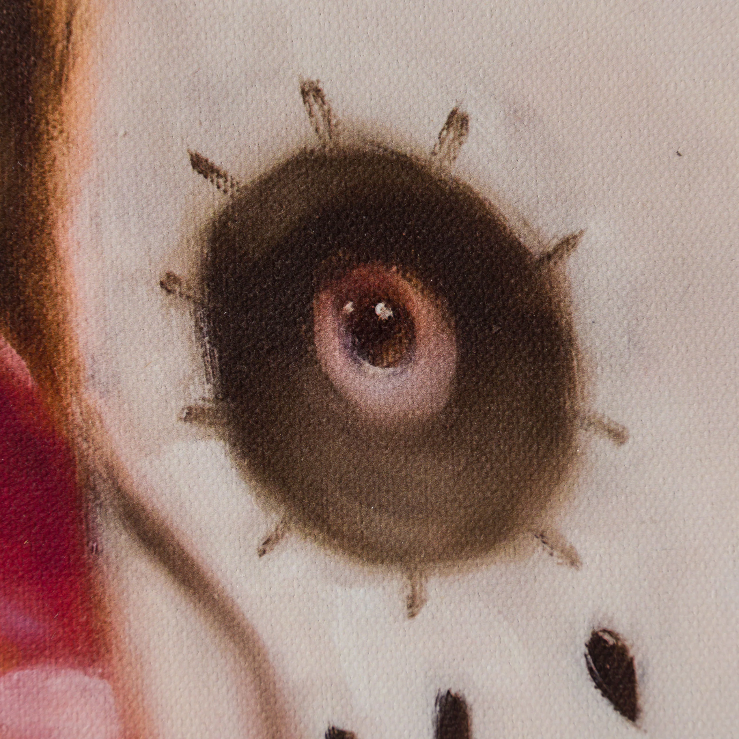 Juan - Image 4
