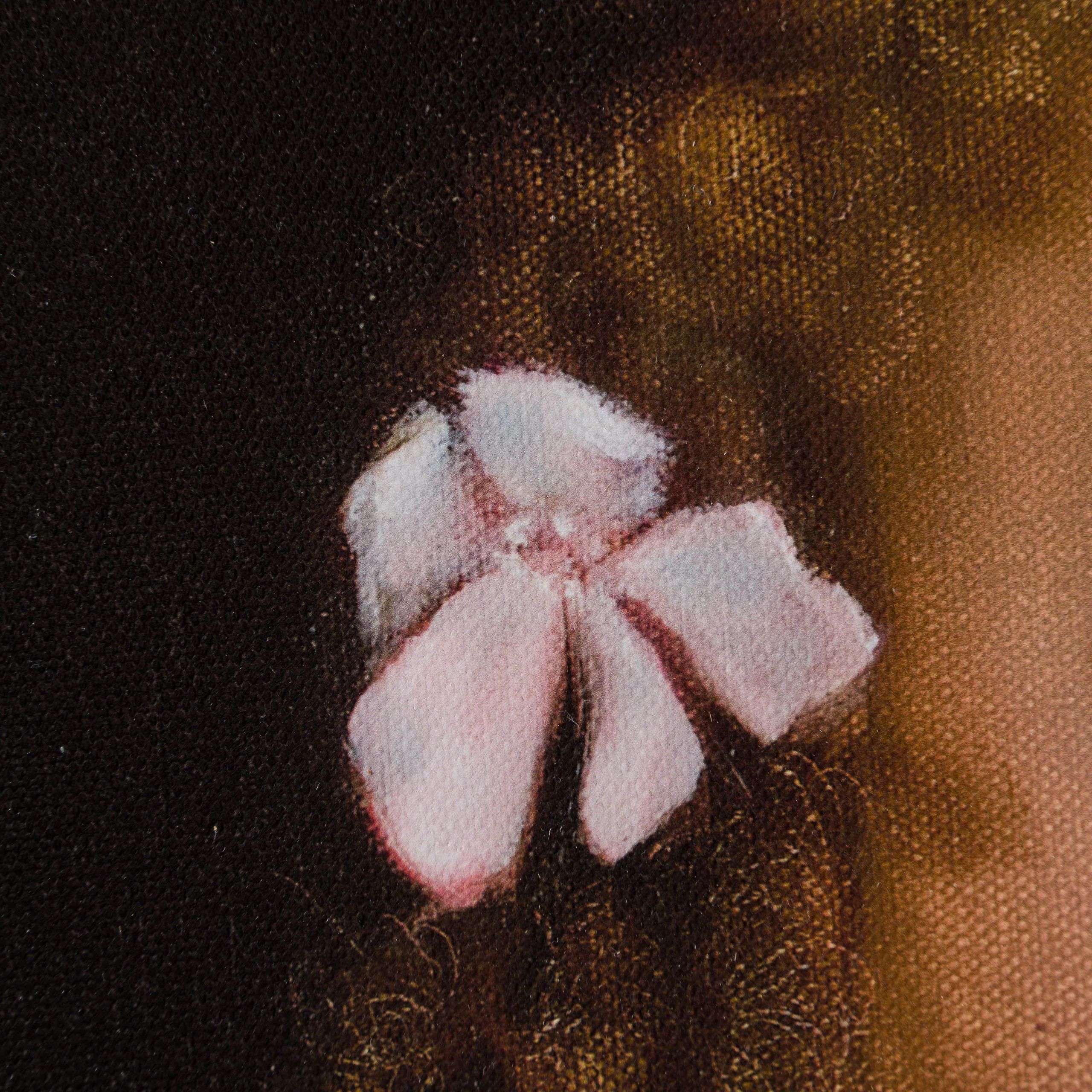 Nilufar - Image 6