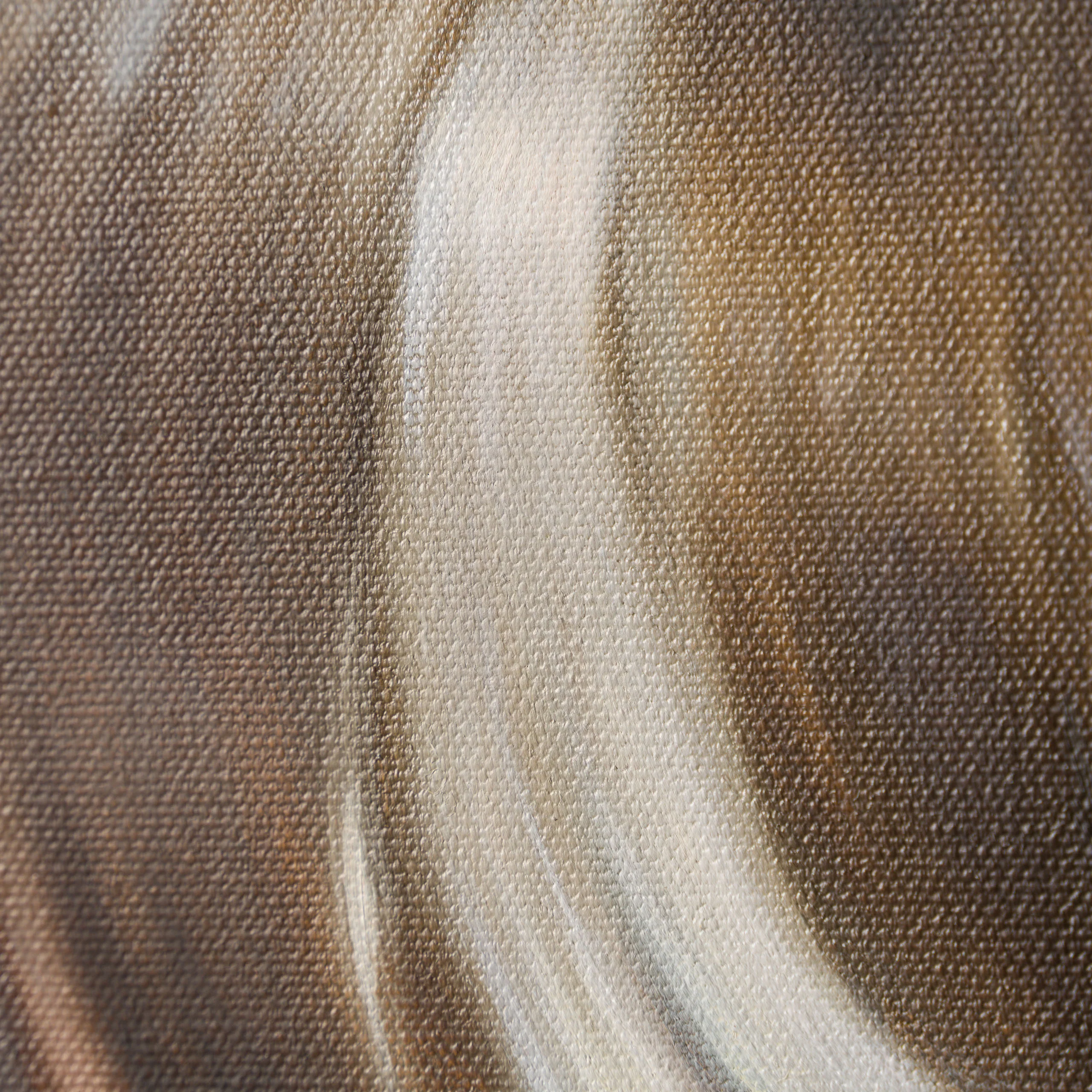 Reach - Image 3
