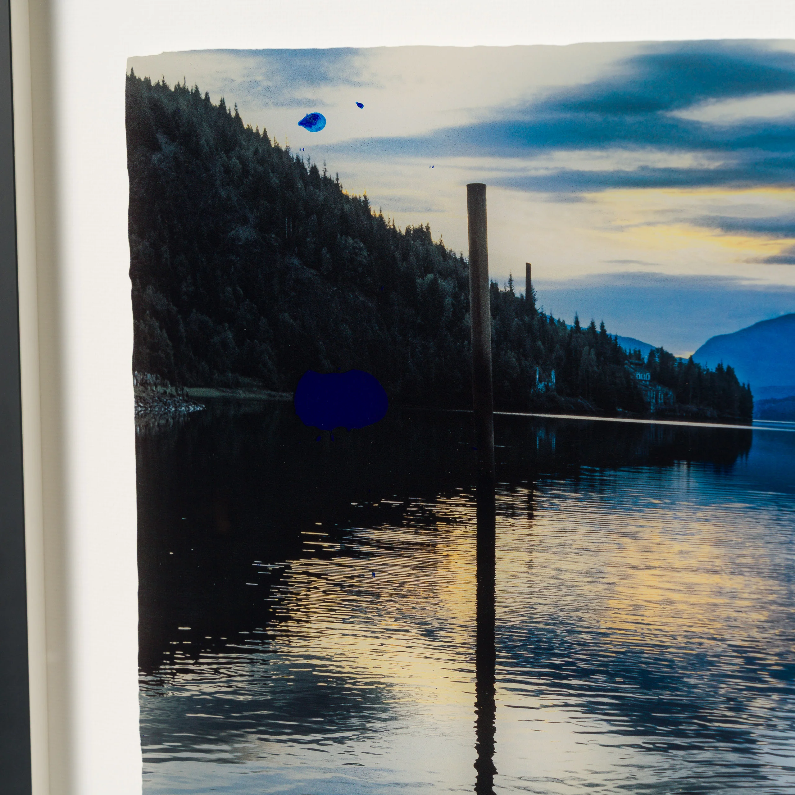 Silver Morning - Image 6