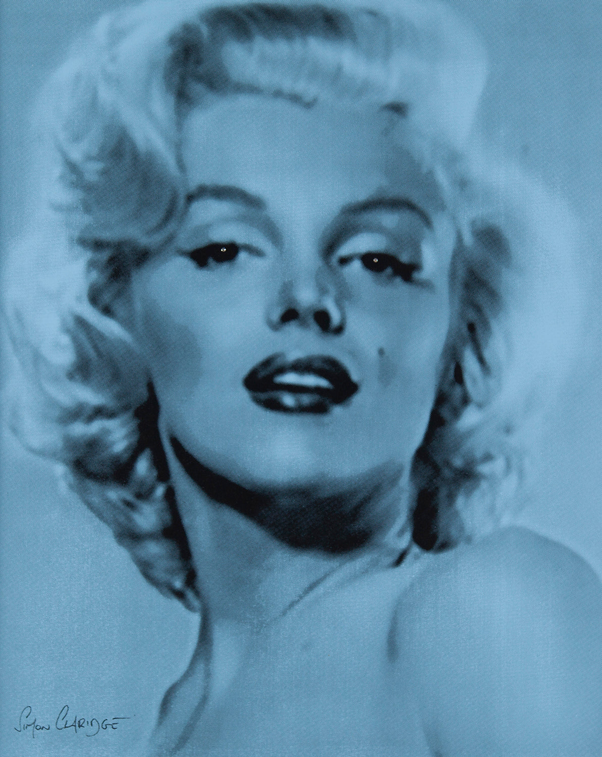 Monroe Silkscreen Wedgewood 5 - Image 4