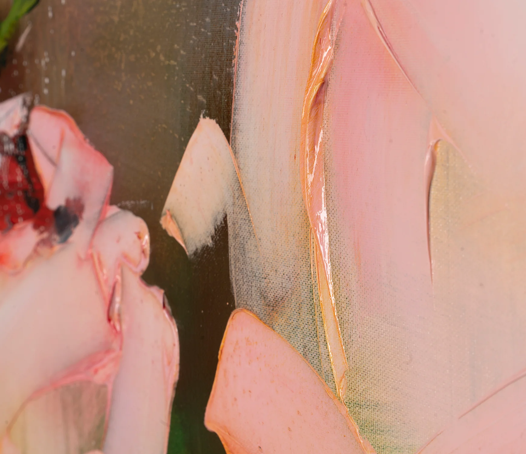 Rosa Gratiam - Image 6