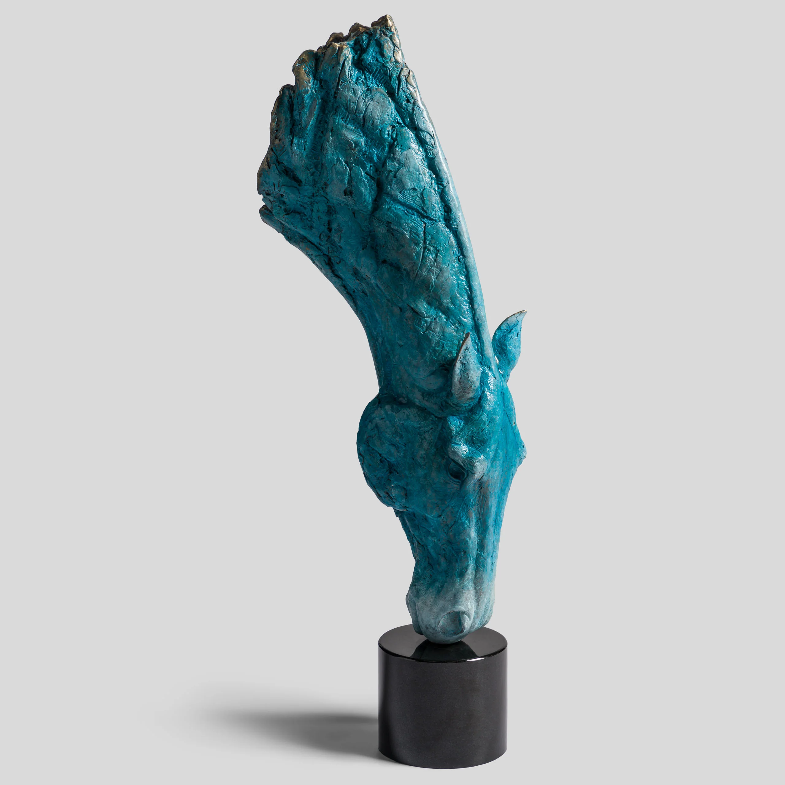 Grounded Serenity – Blue Roan - Image 6